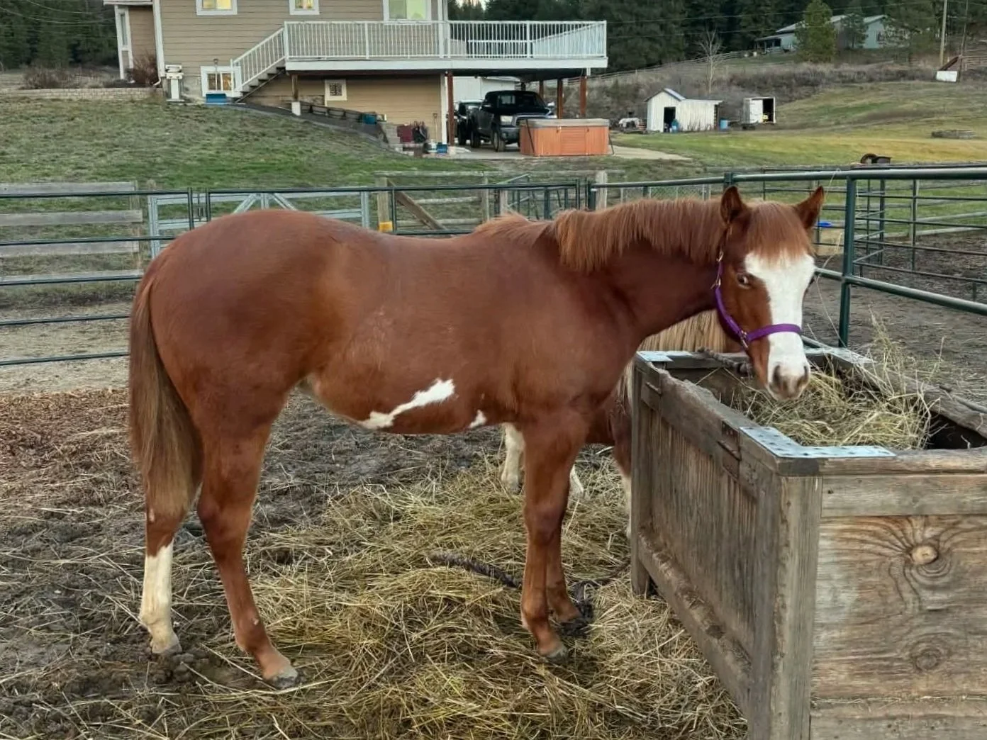 My Chips R Desirable