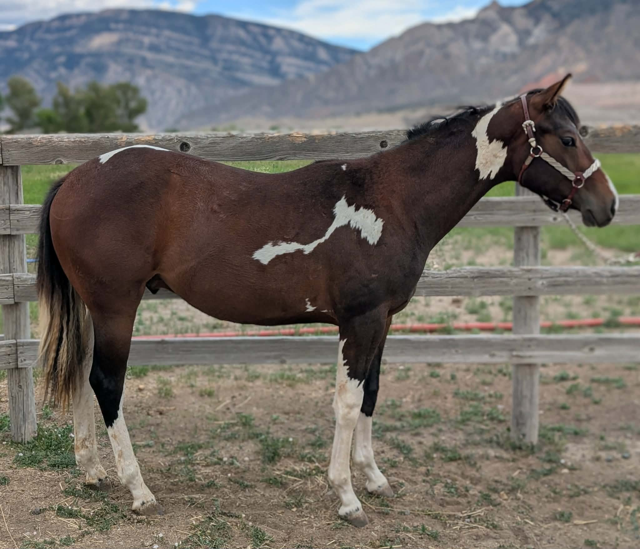 att.hbDqgtJKHI8MoAXSrywqN1YMHeLdiGOJGY8noz1dmJo.JPG