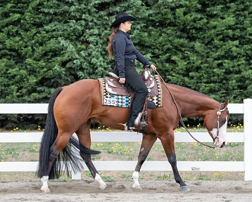 A woman riding a red and white paint horse in an indoor arena, with blue stadium seats and banners in the background.