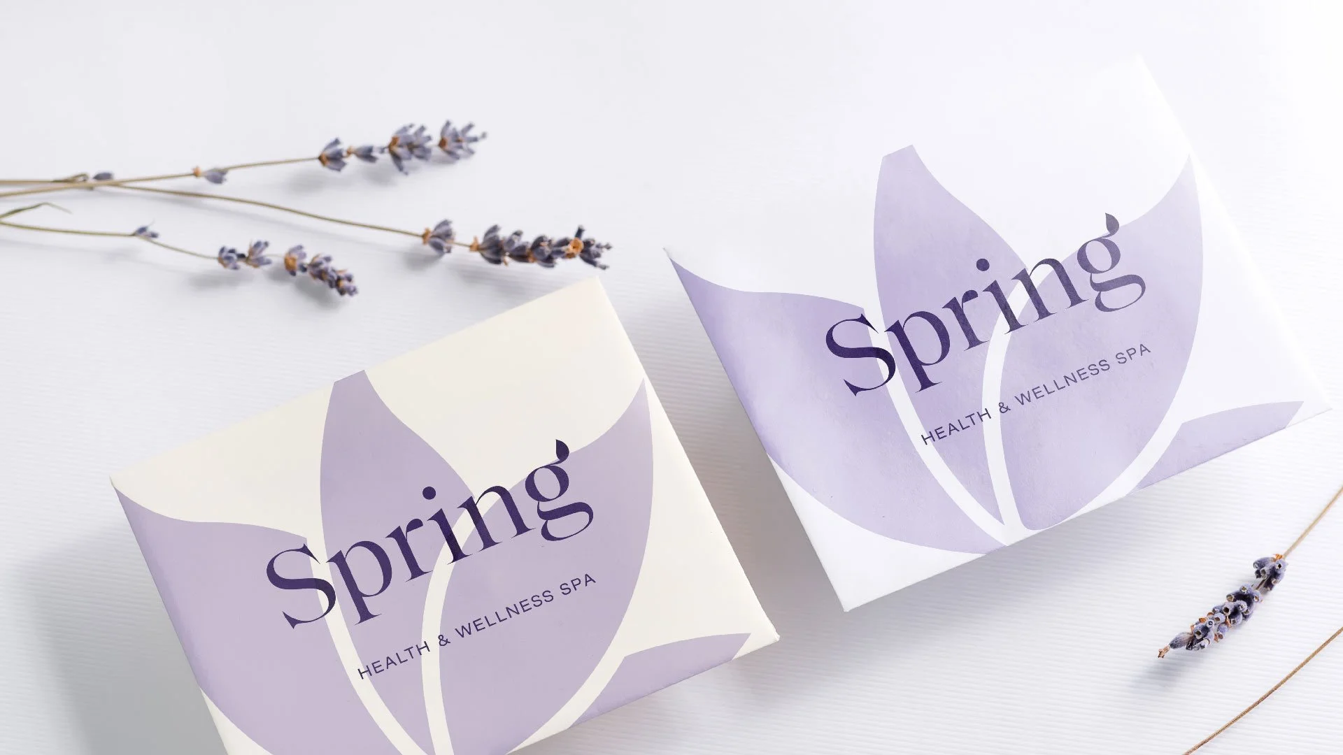 Spring Health Slides-04.jpg