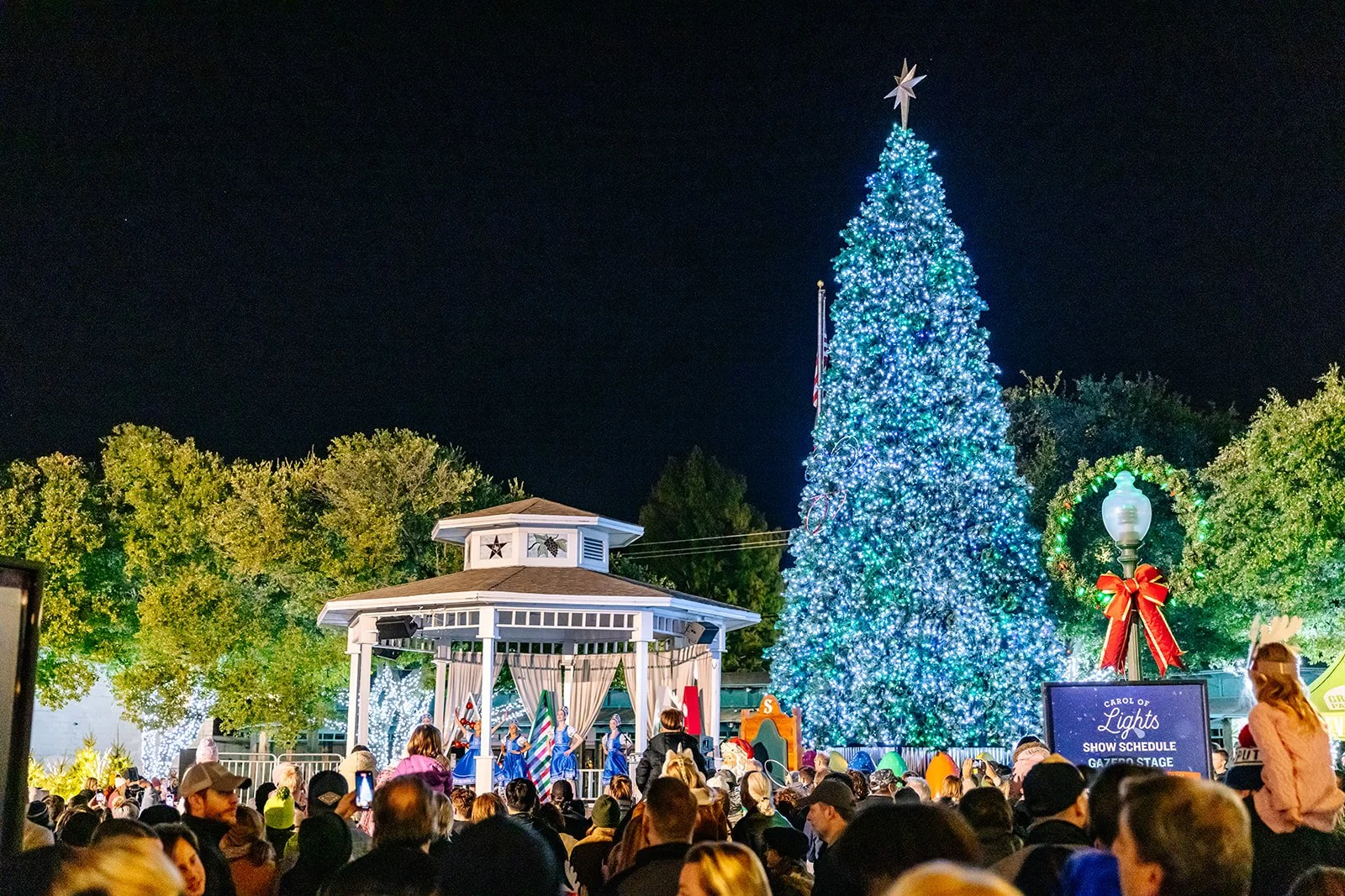 Carol_of_Lights_0185_websize.jpg