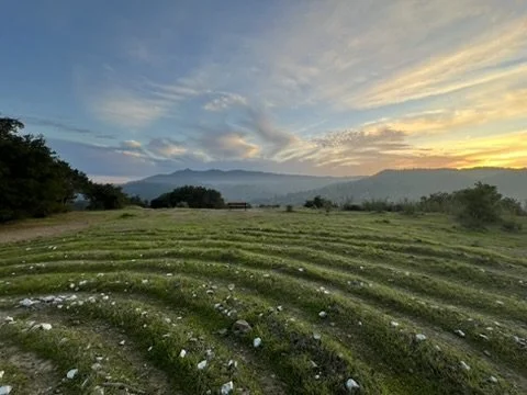 Walking the Labyrinth
