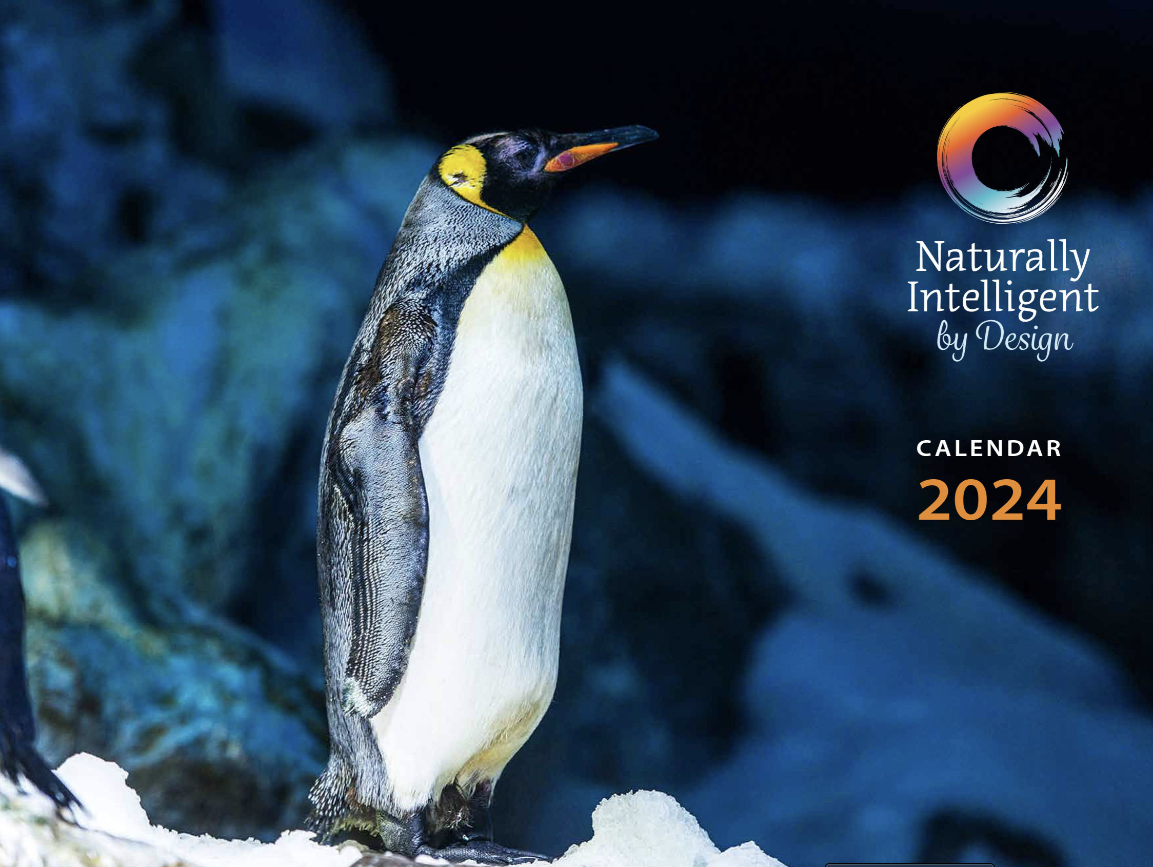 Wildlife Wisdom 2024 Calendar — Naturally Intelligent by Design