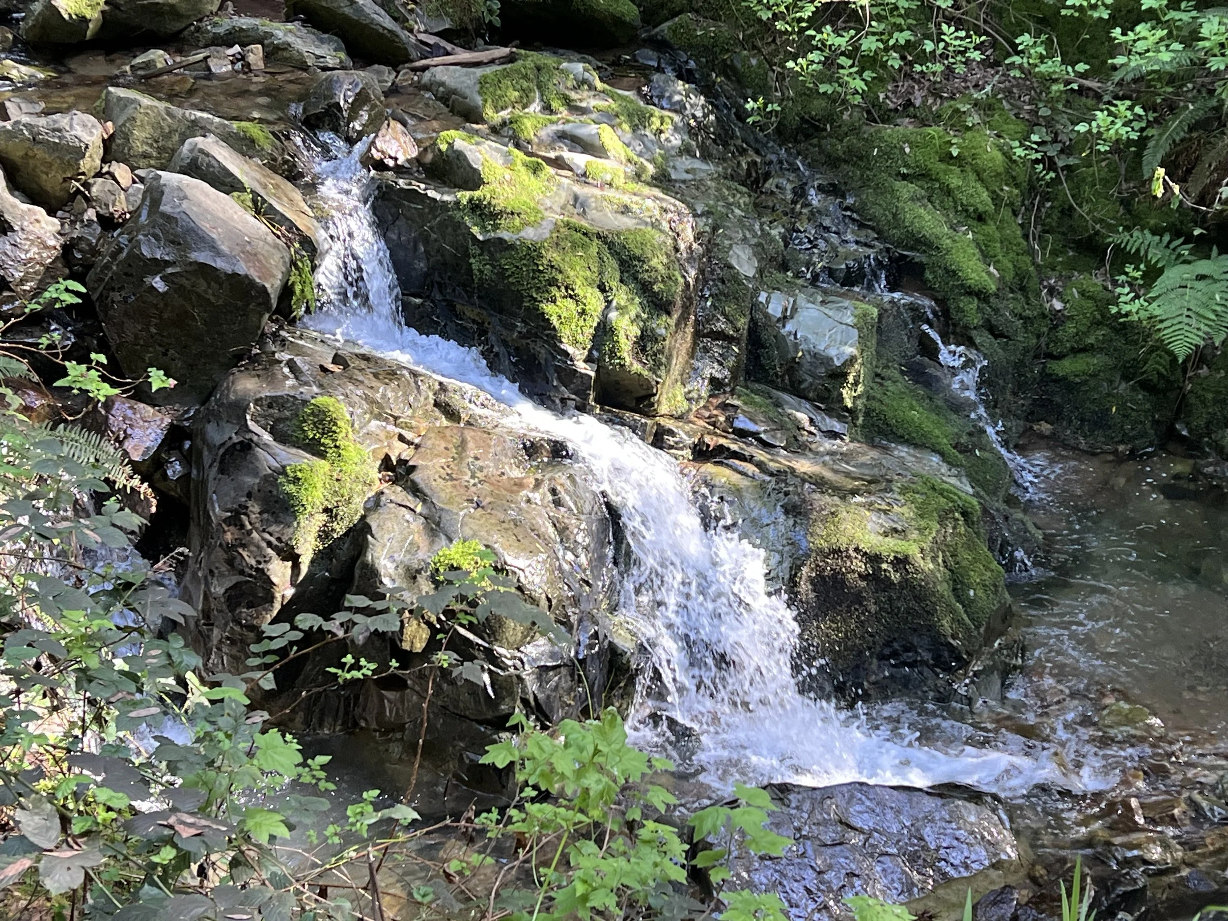 Finding Solidarity in Sacred Spring