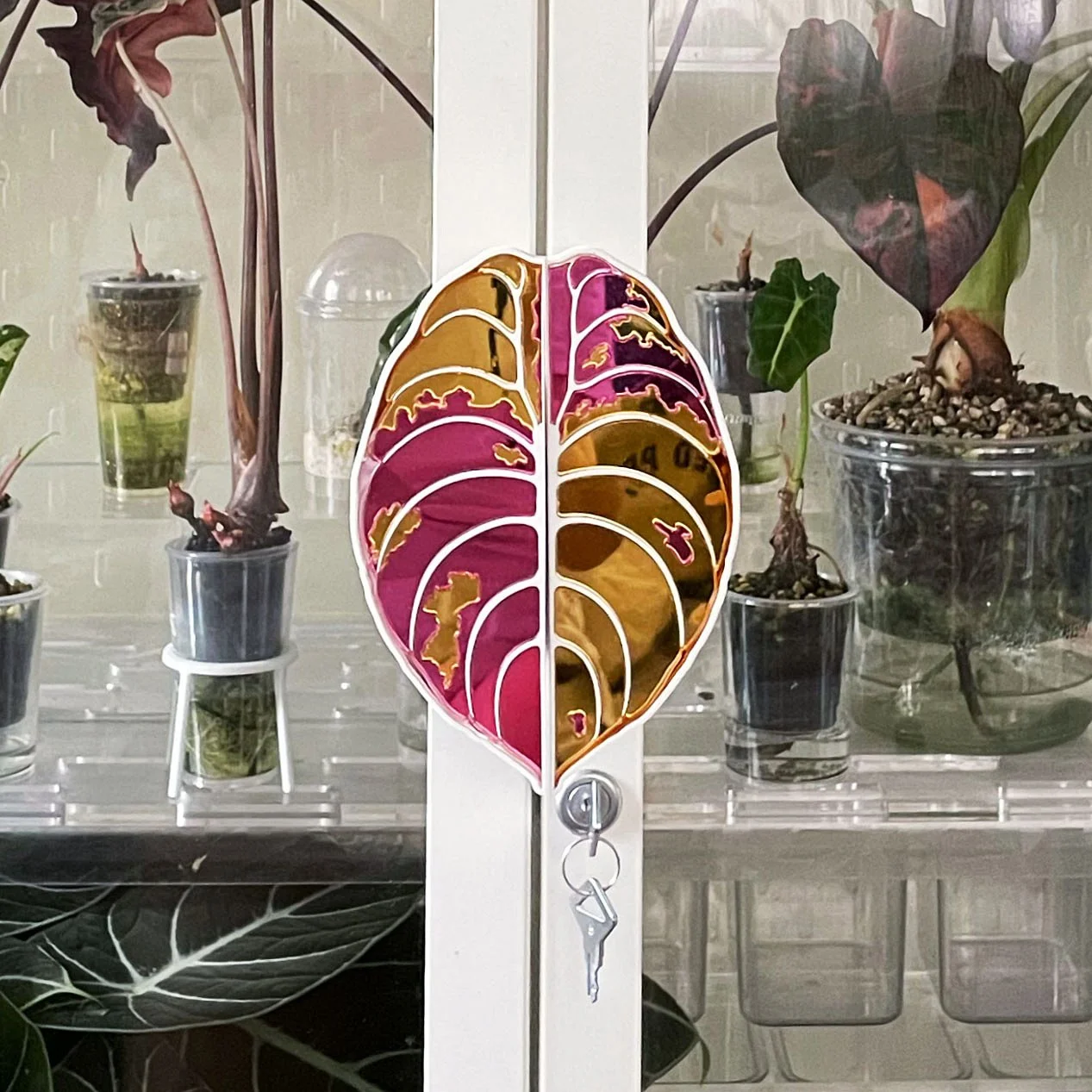 catalog images_0000s_0000_Cuprea_image0.jpeg.jpg