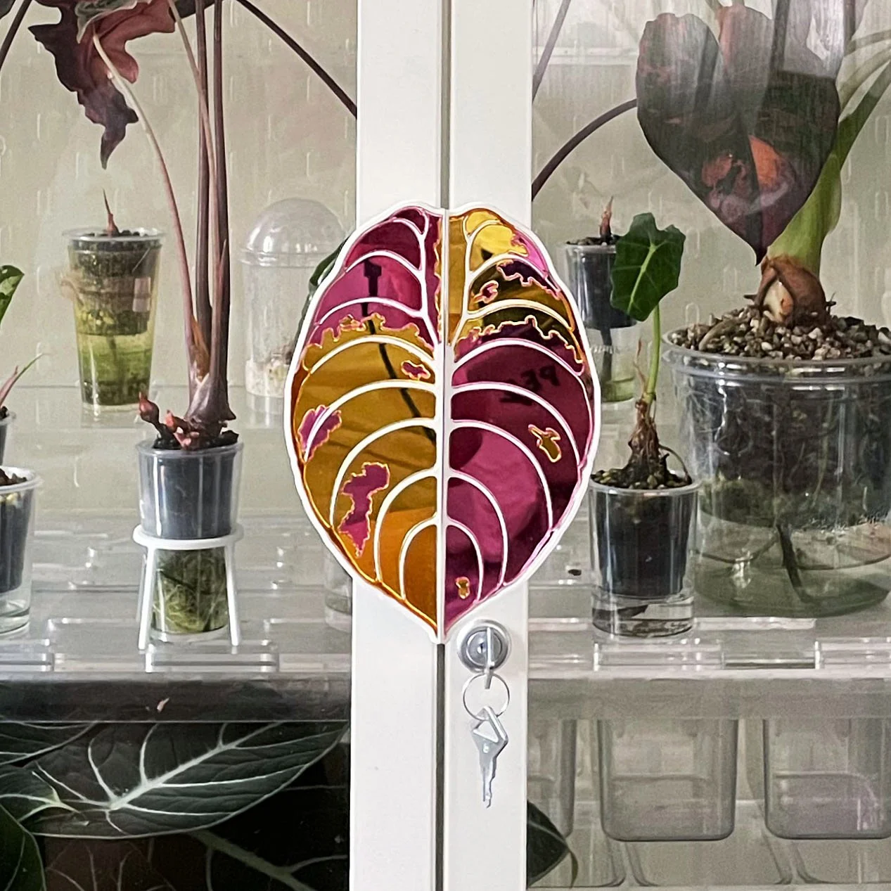 catalog images_0000s_0001_Cuprea_image1.jpeg.jpg