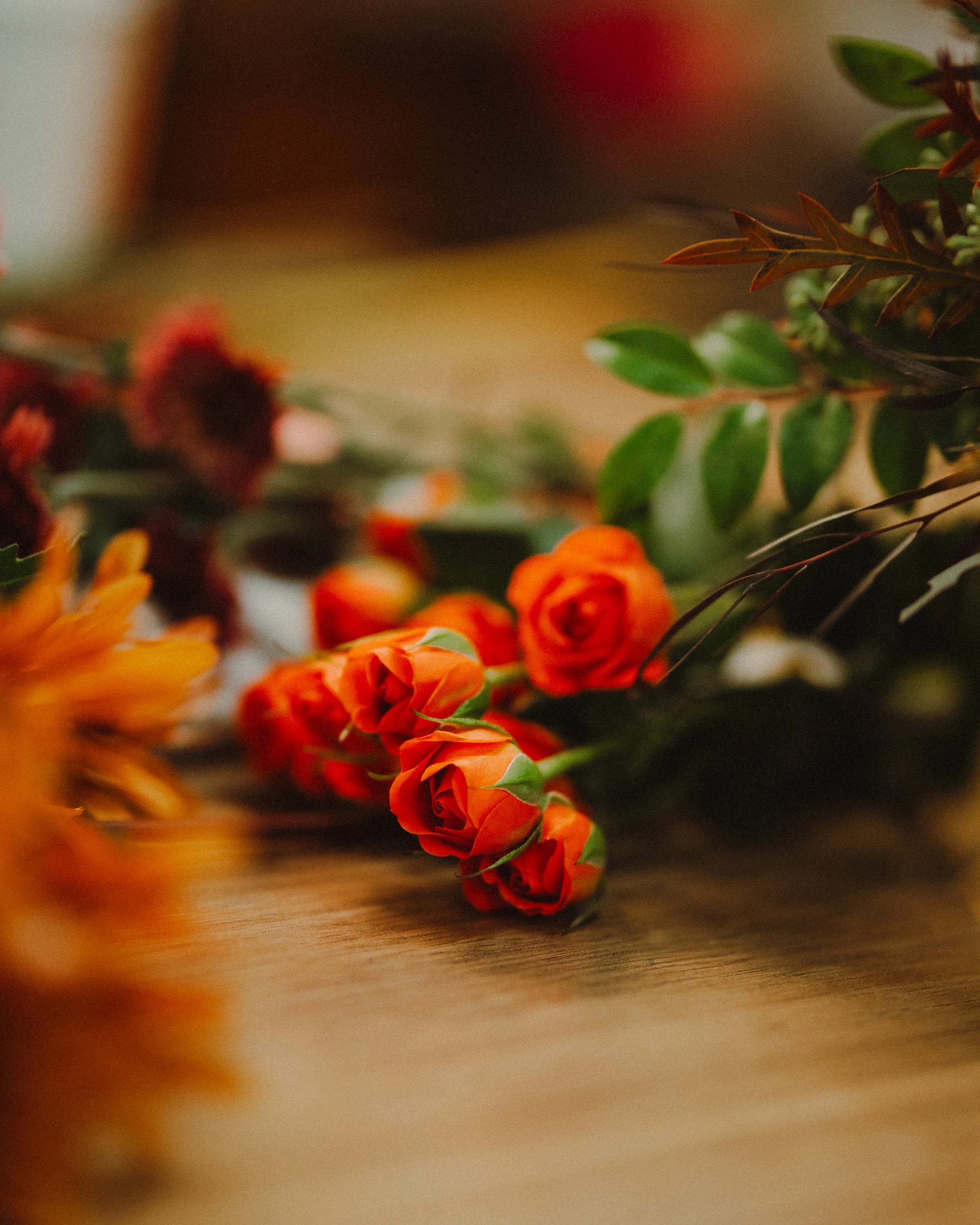 Dragonflies Floral Studio