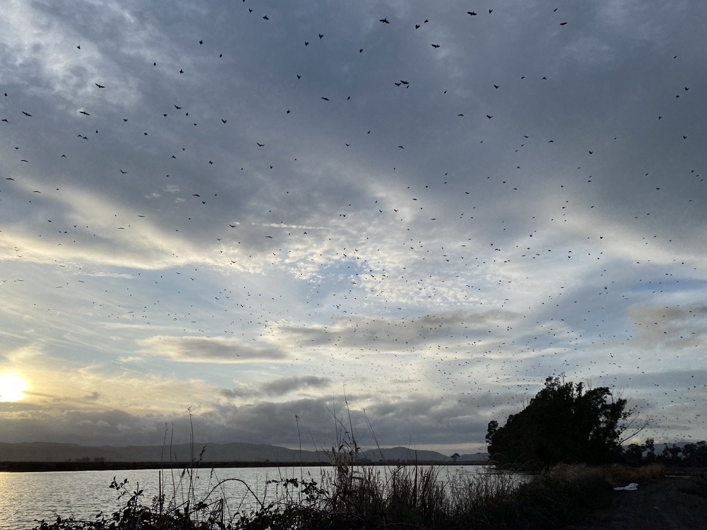 12EFAA43-2854-48A9-85E2-0EDEC206B4C0_1_105_c.jpeg