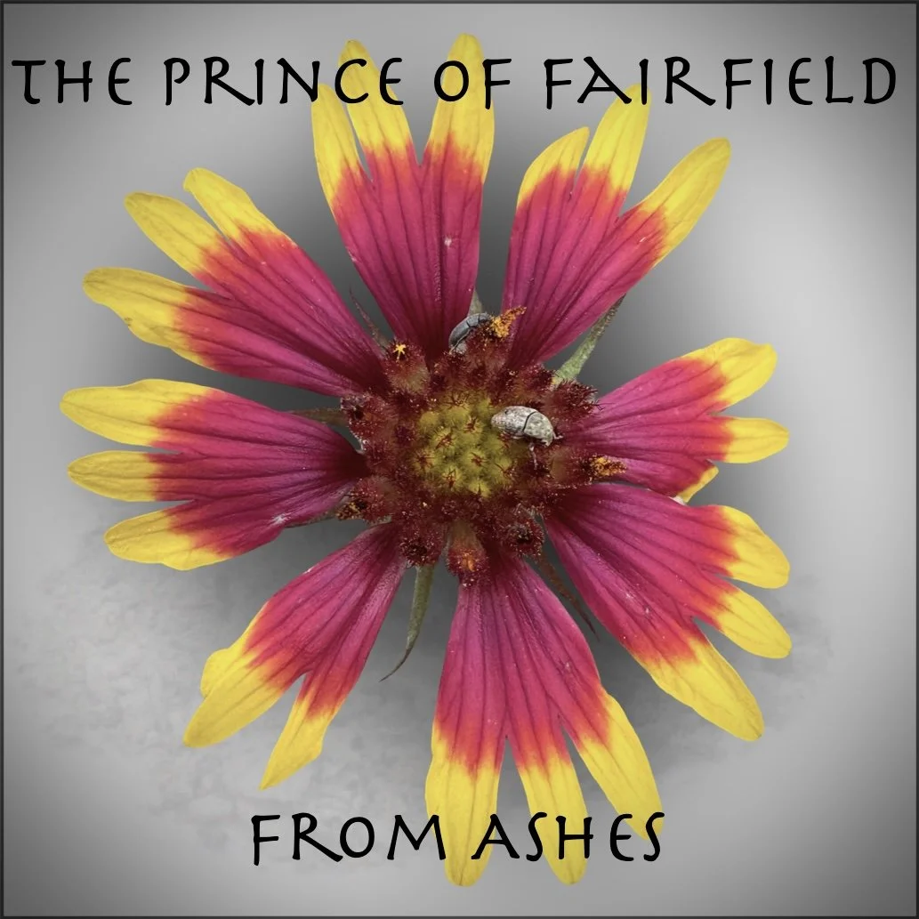A vibrant flower with yellow and red petals. Text at the top reads 'The Prince of Fairfield' and at the bottom 'From Ashes.'