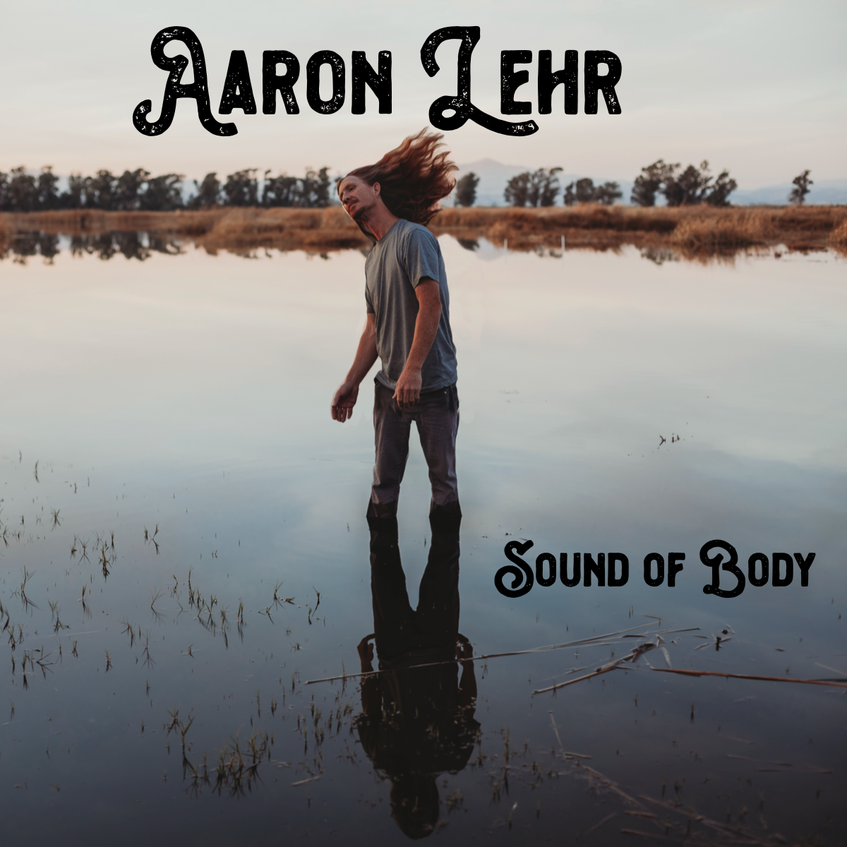A man standing in a shallow body of water with his long hair flowing, wearing a gray t-shirt and dark pants, with the reflection of the landscape and sky on the water and the text 'Aaron Lehr' and 'Sound of Body' overlaid.