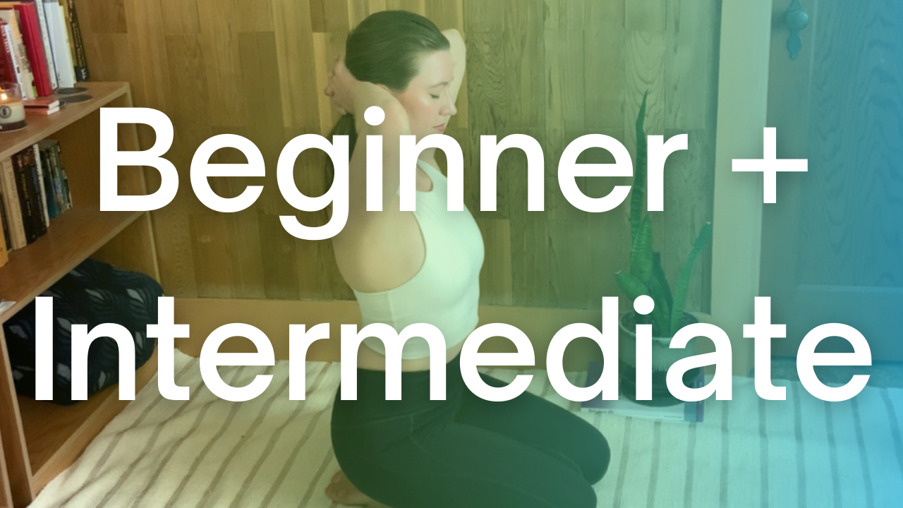 Level: Beginner/Intermediate