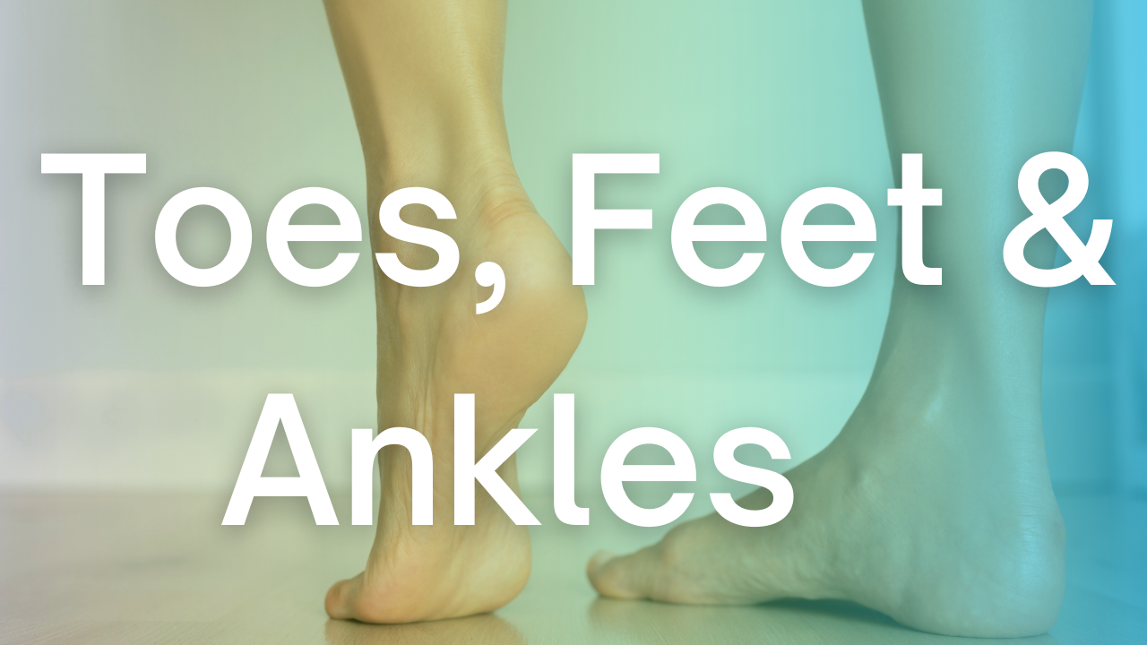Body Part: Toes, Feet, & Ankles