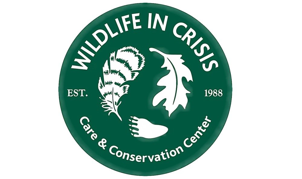 Wildlife In Crisis Presents Top “10 Ways to Help Wildlife”