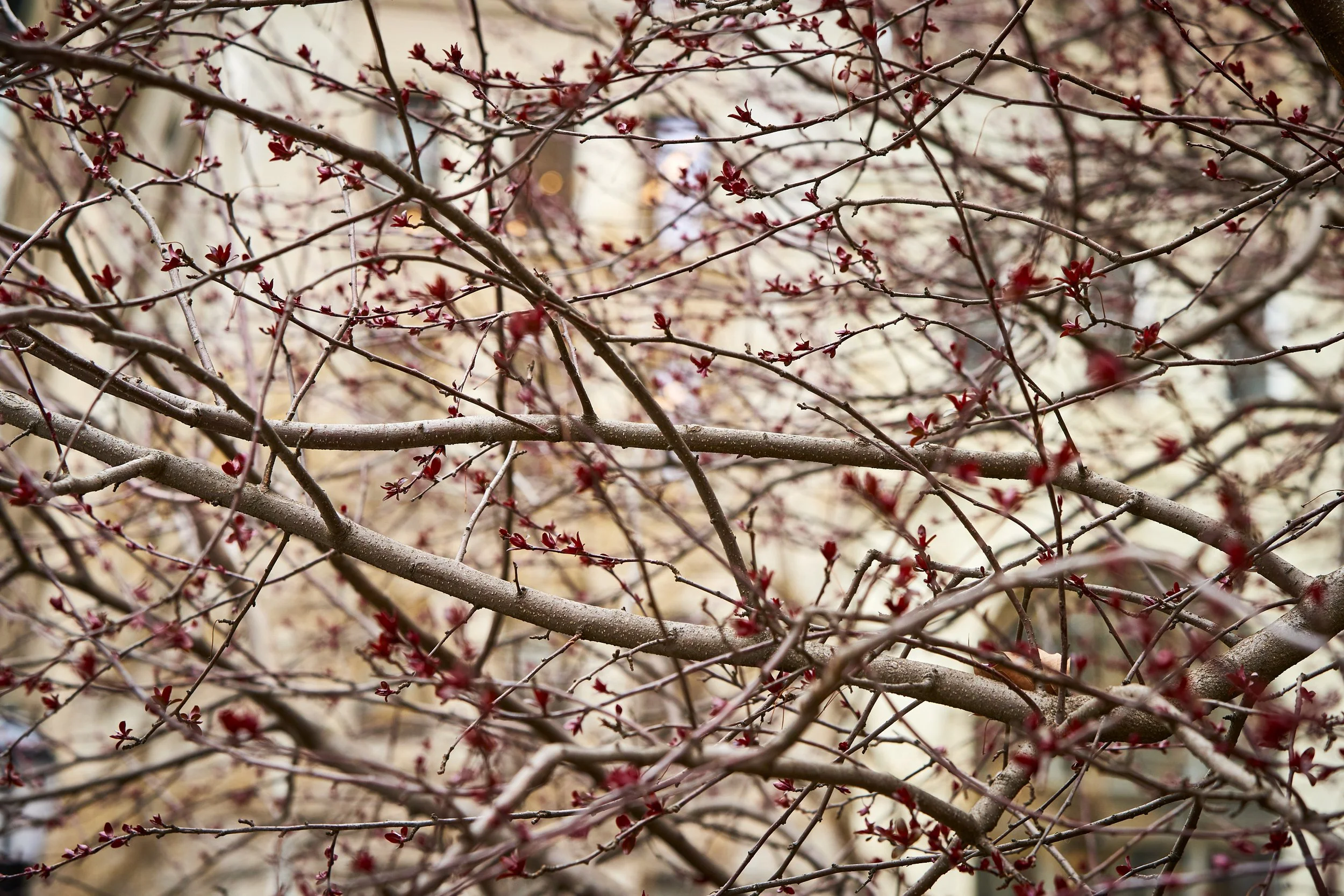 MadSqPrk_JasperDeWitt_Spring2022_03202022_0179.jpg