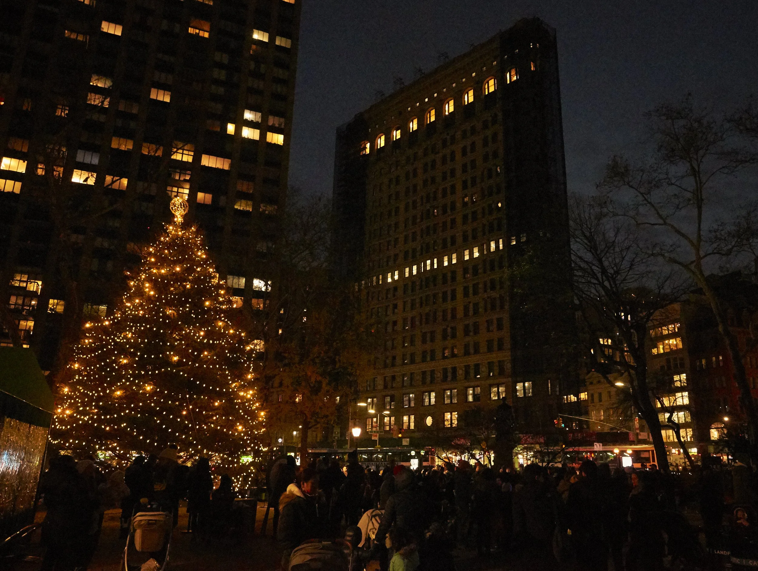 12092021_JasperDeWitt_MadSqPk_Volunteer_2021_2770.jpg