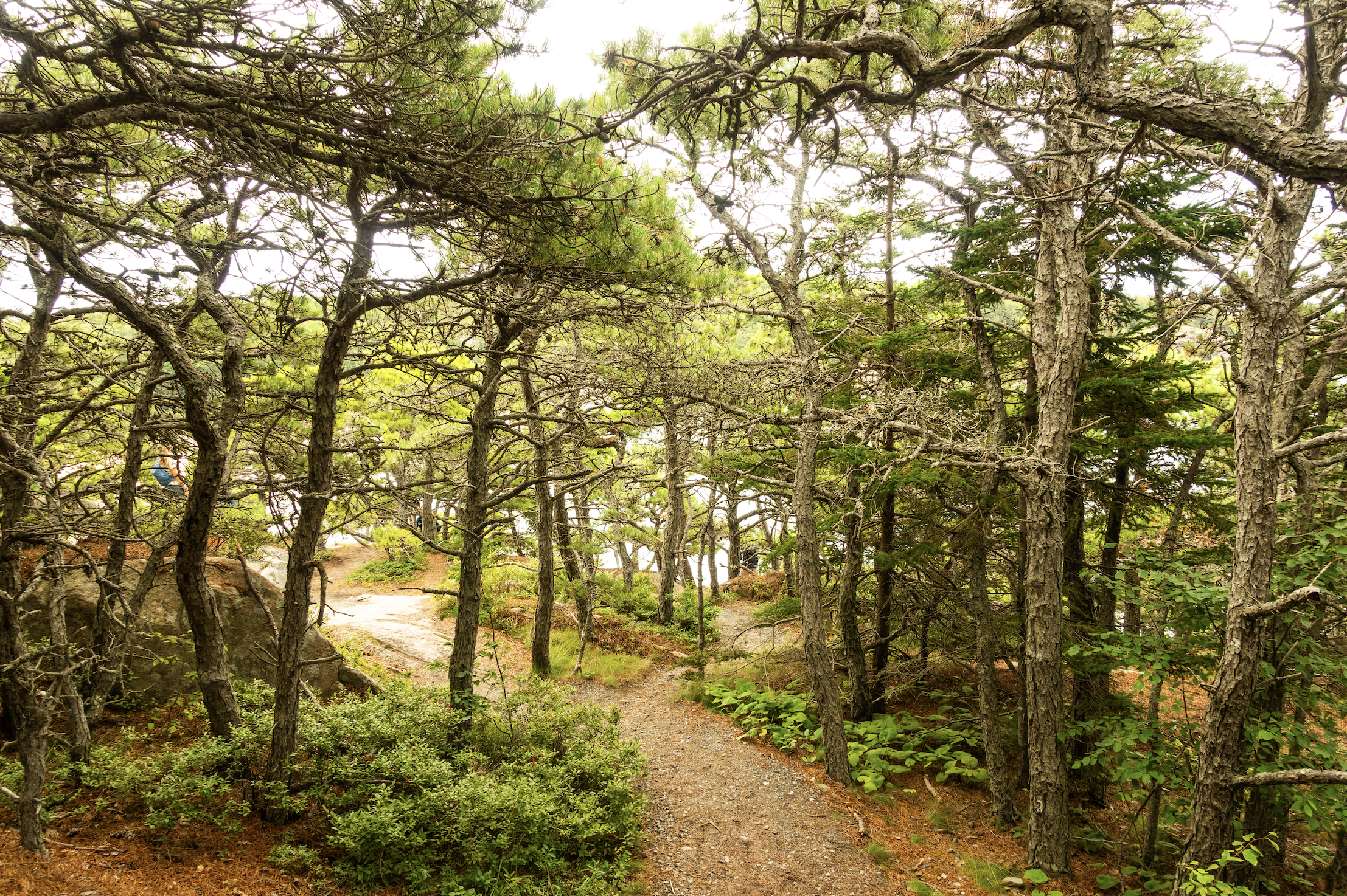 Screen Shot 2023-09-06 at 9.15.36 PM.png