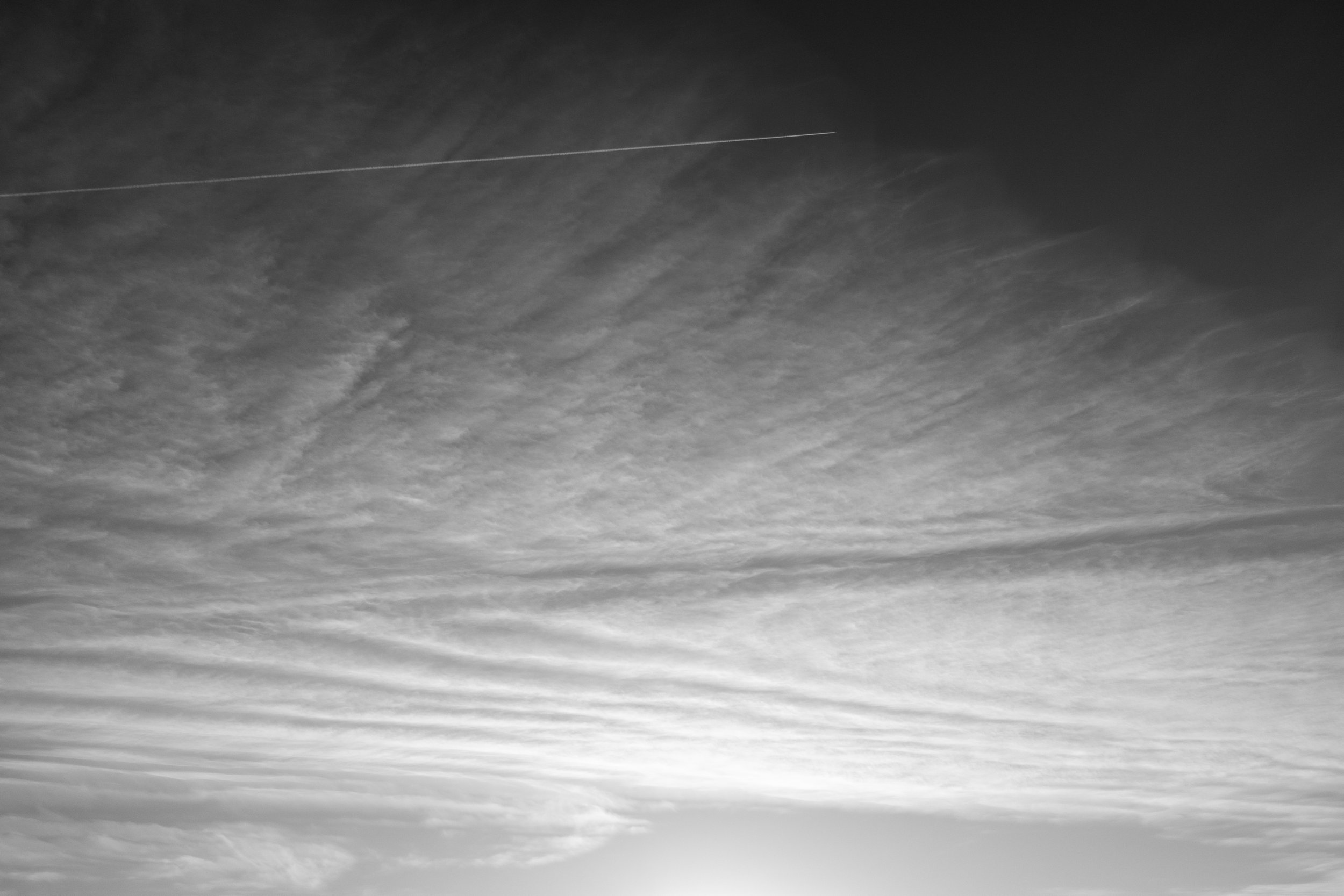 12302024_MariposaJD-06532.jpg