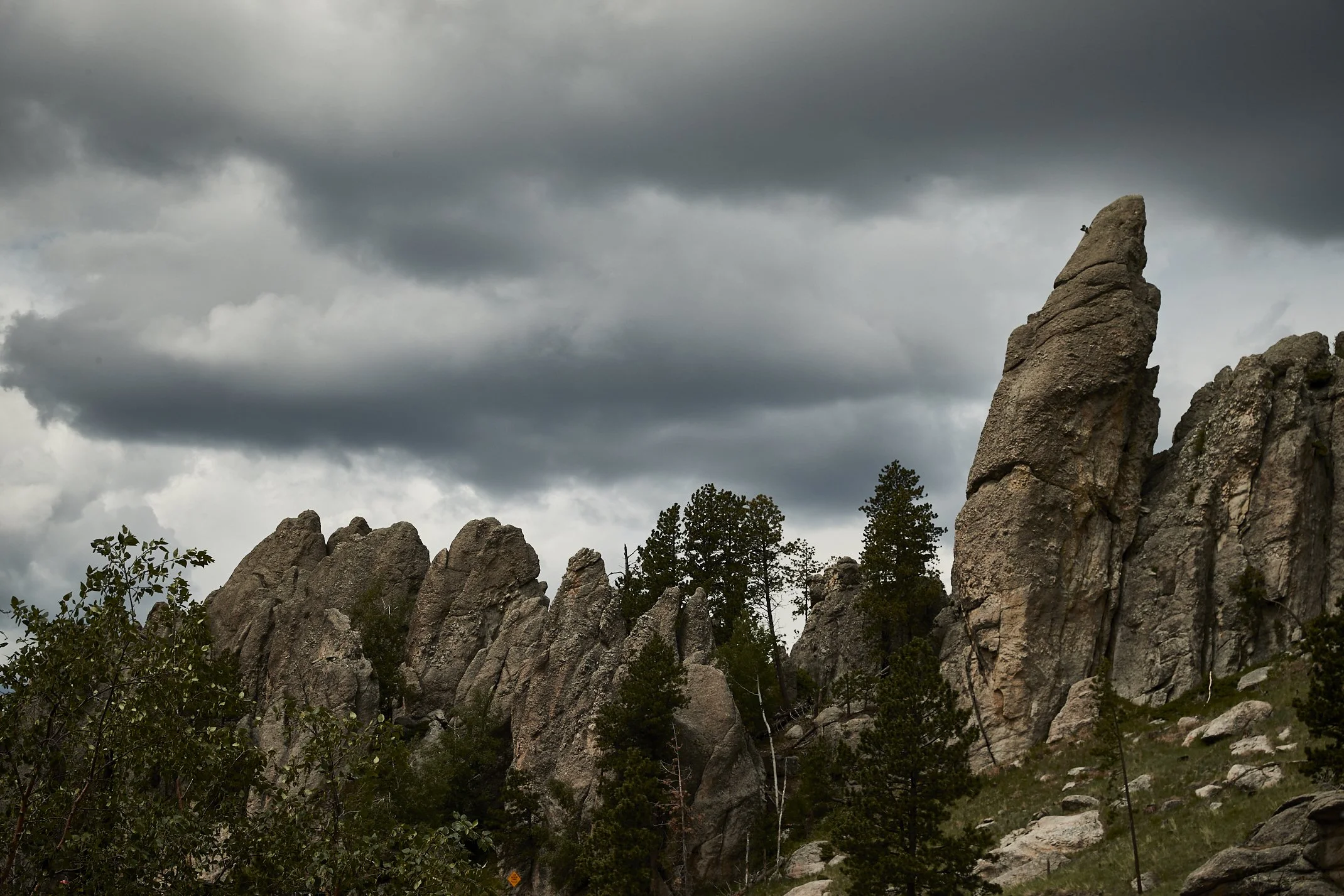 ND_CousinsCamp_Colorado_21_NeddlesHighWay_S4_1151.jpg