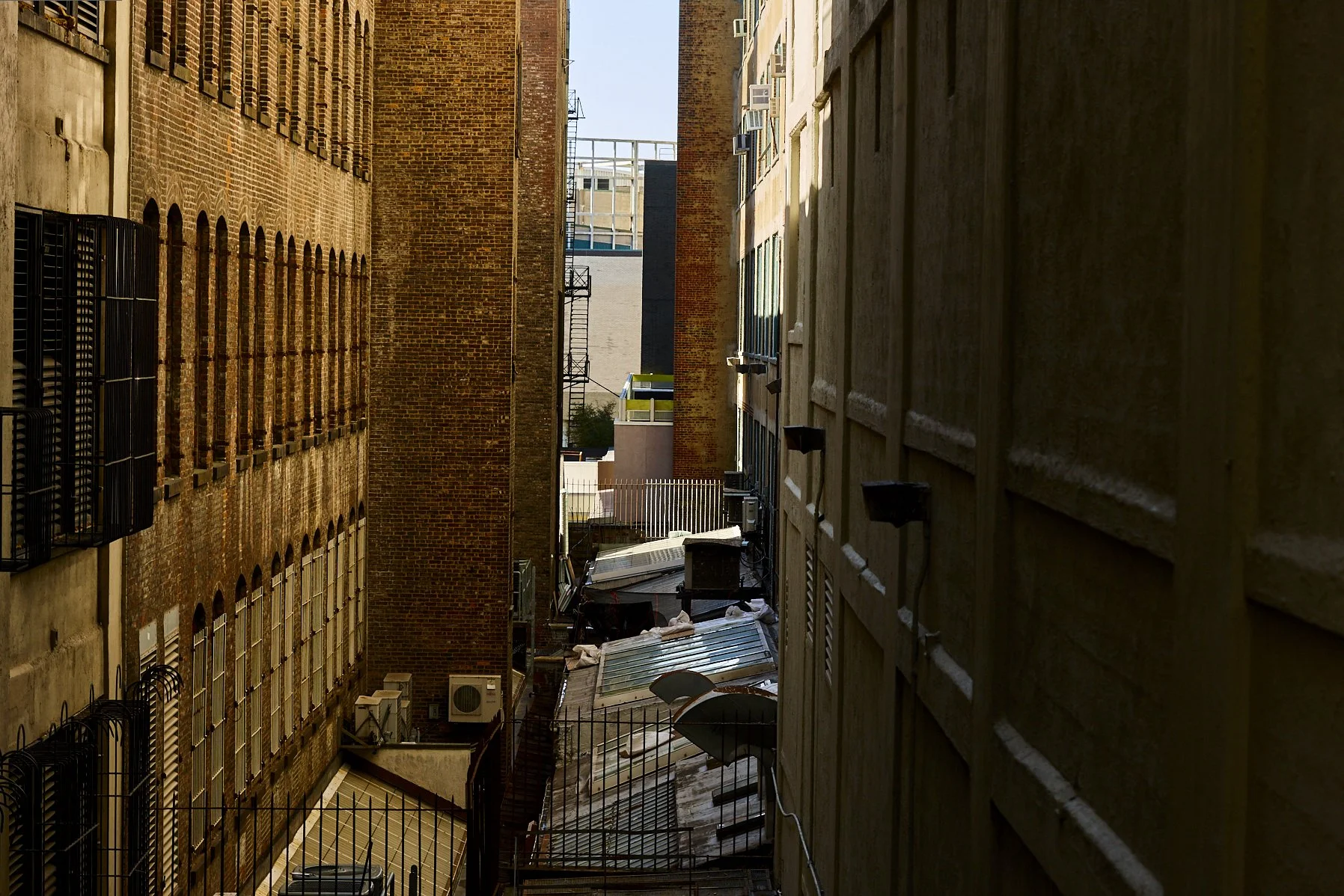 JD_Photo101_2021_Jasper_S6_3786 1.jpg