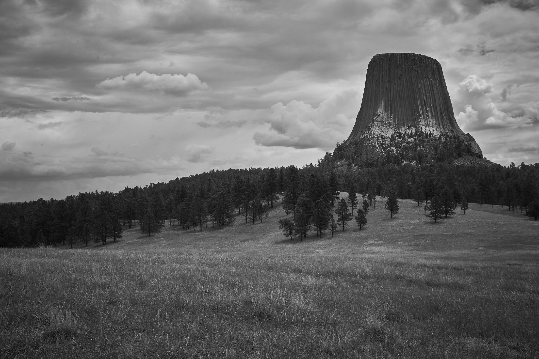 ND_CousinsCamp_Colorado_21_DevilsTower_S8_2824.jpg