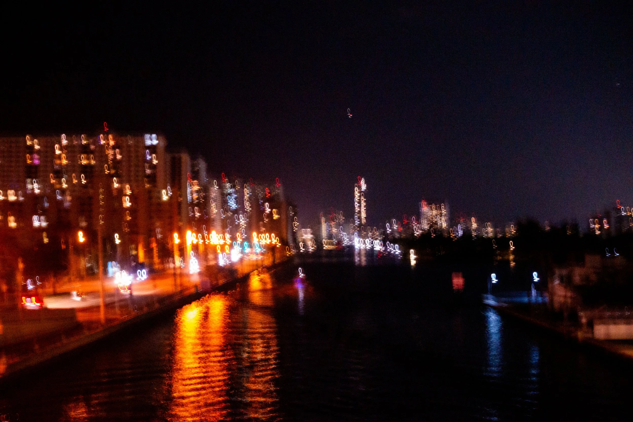 DSC05484.jpg