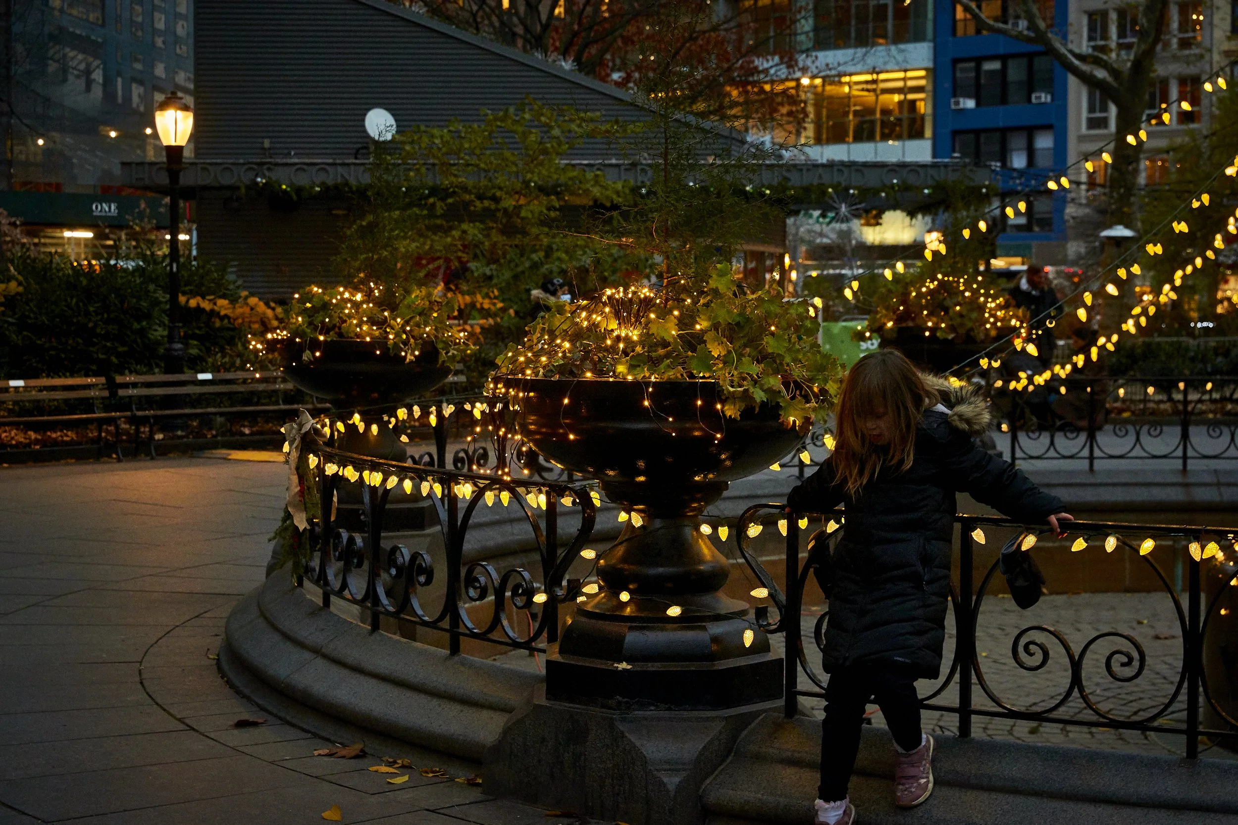 12092021_JasperDeWitt_MadSqPk_Volunteer_2021_2532.jpg