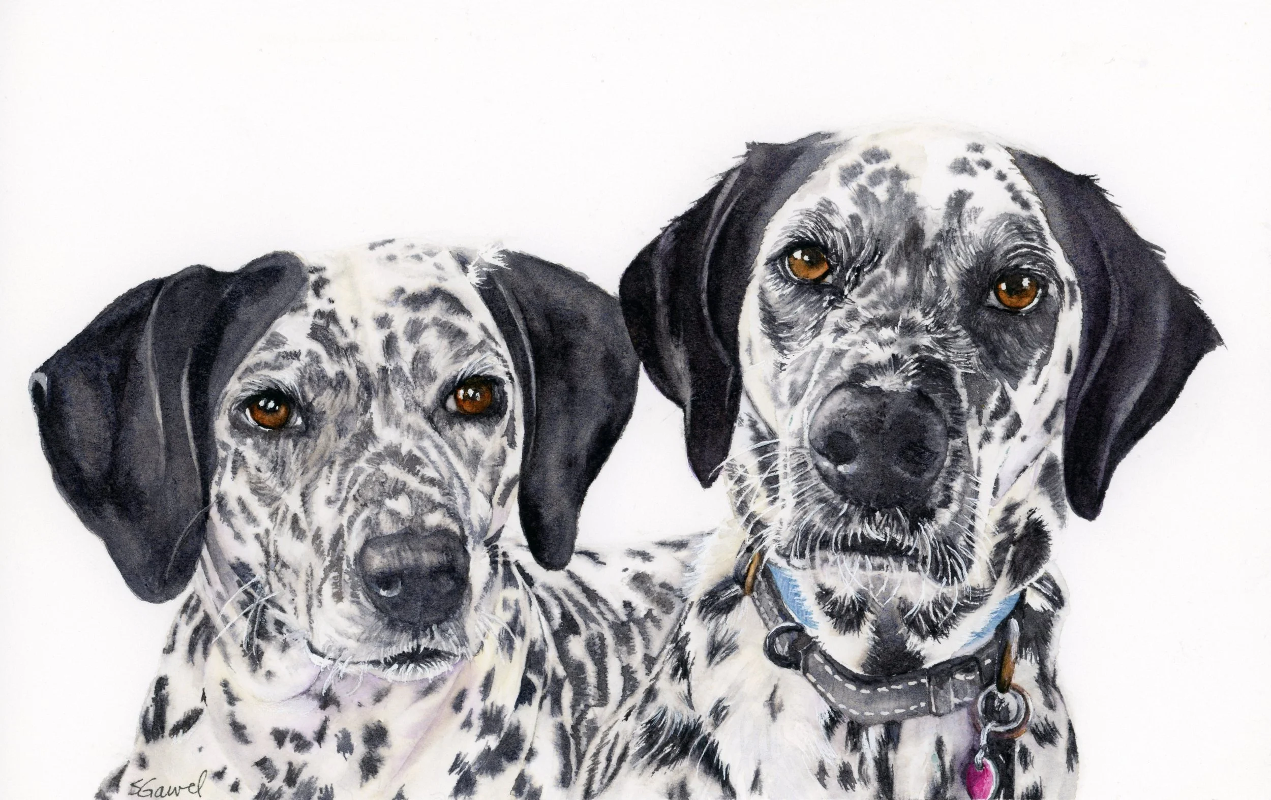 Daisy & Maggie  9 x 12