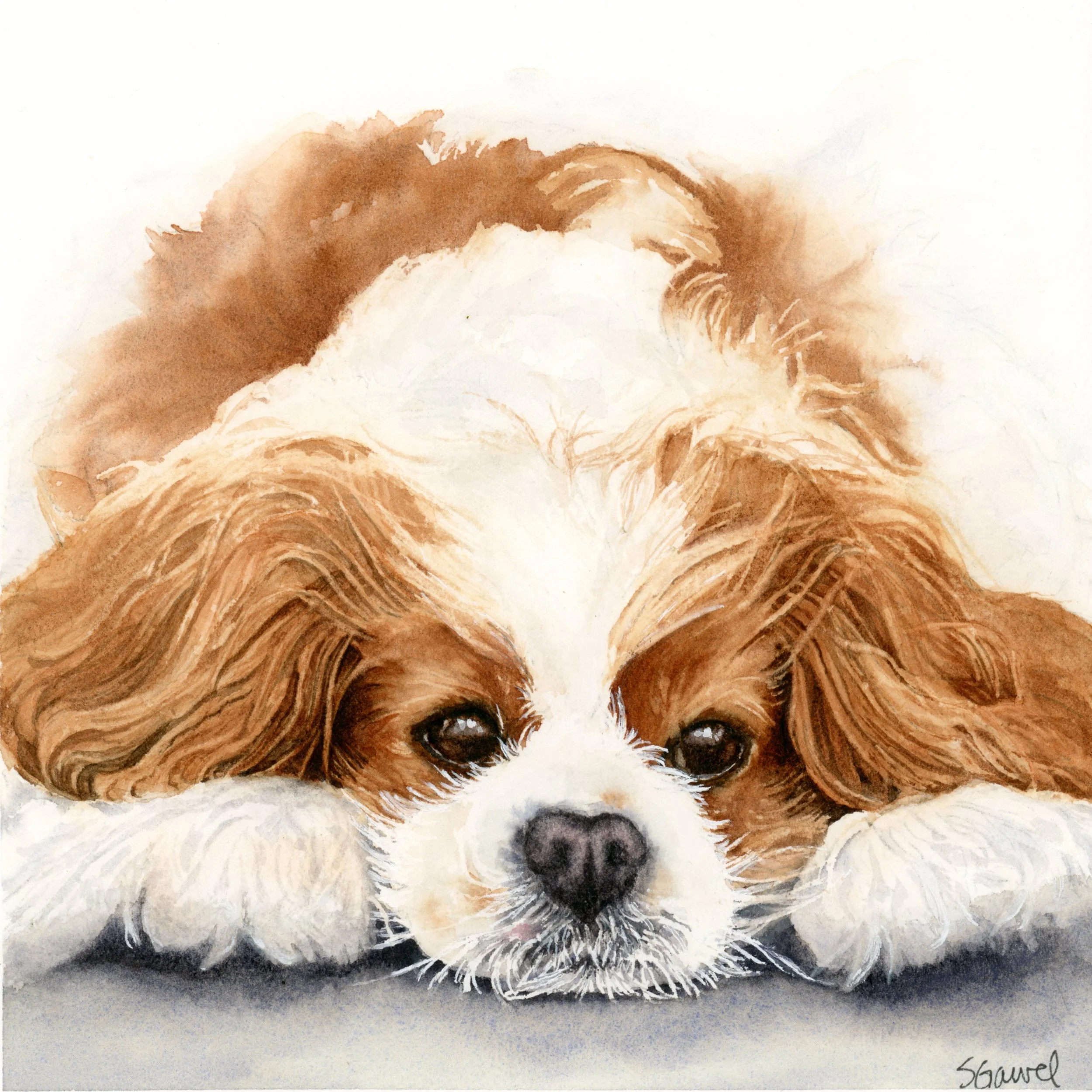 Tucker #1    6 x 6