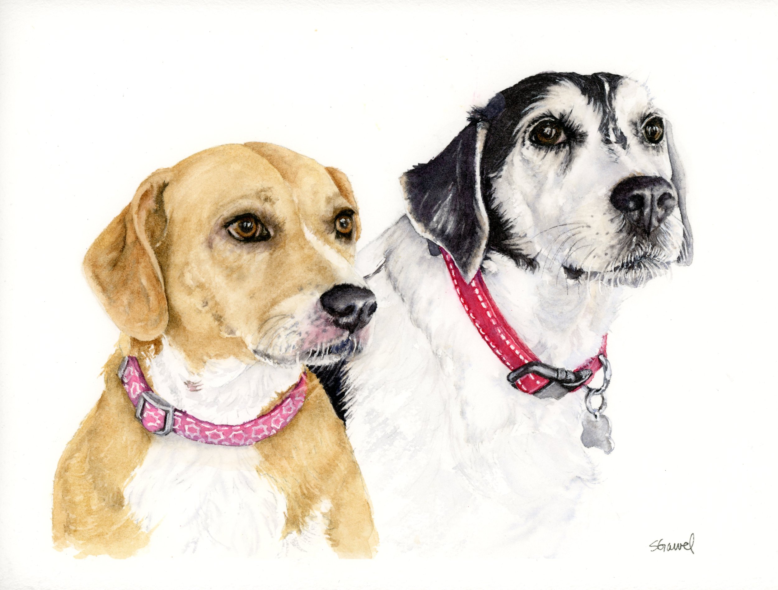 Travis & Belle 8 x 10