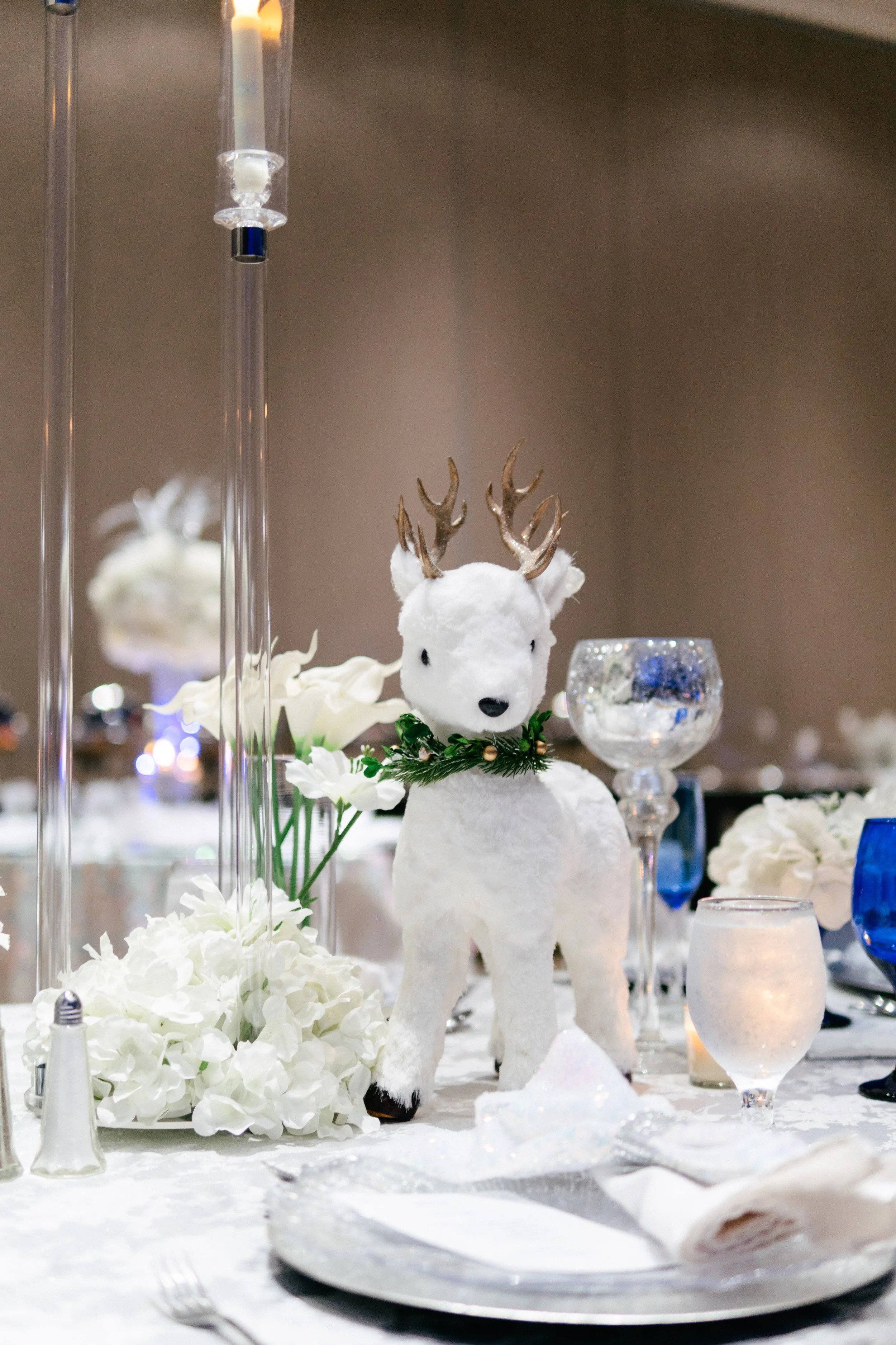 ZoeEvents-50.jpg