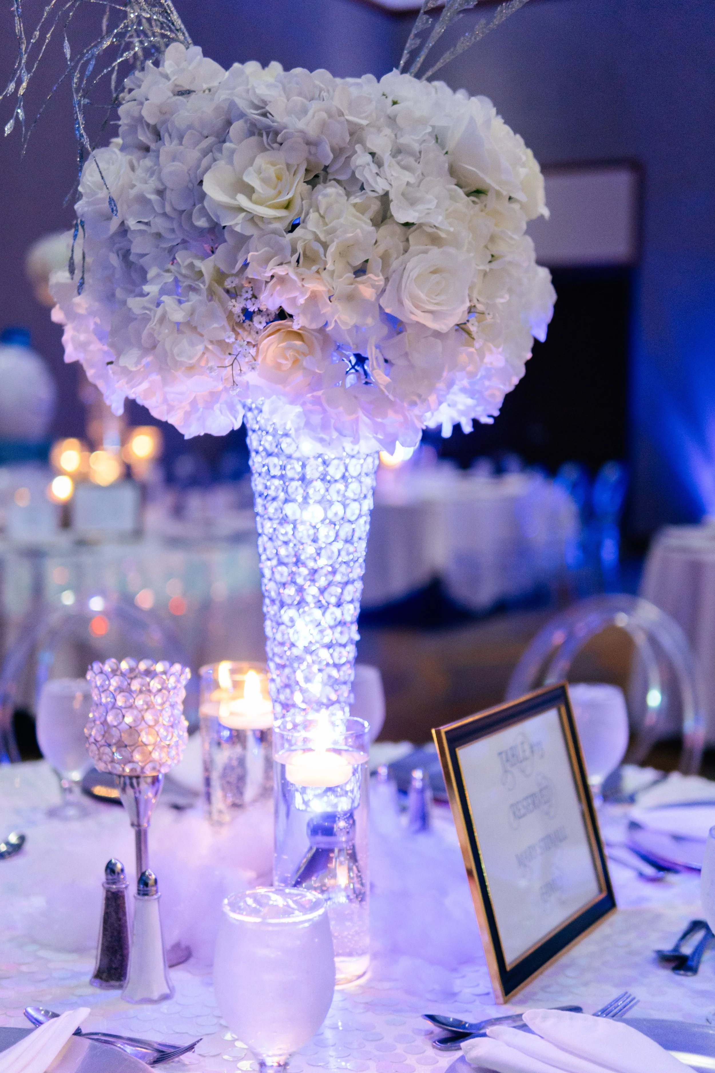 ZoeEvents-31.jpg