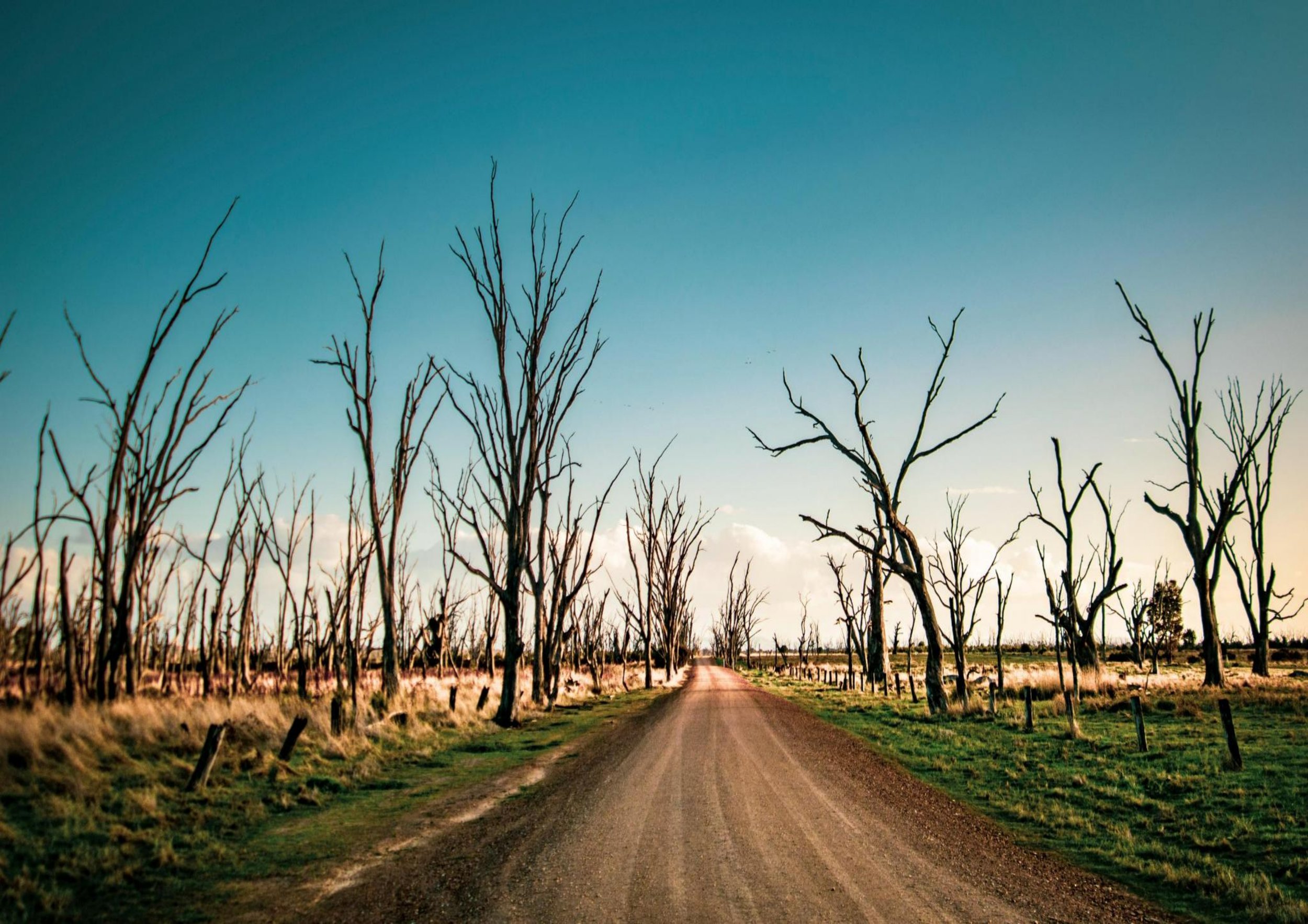 web_winton wetlands_sunset.jpg