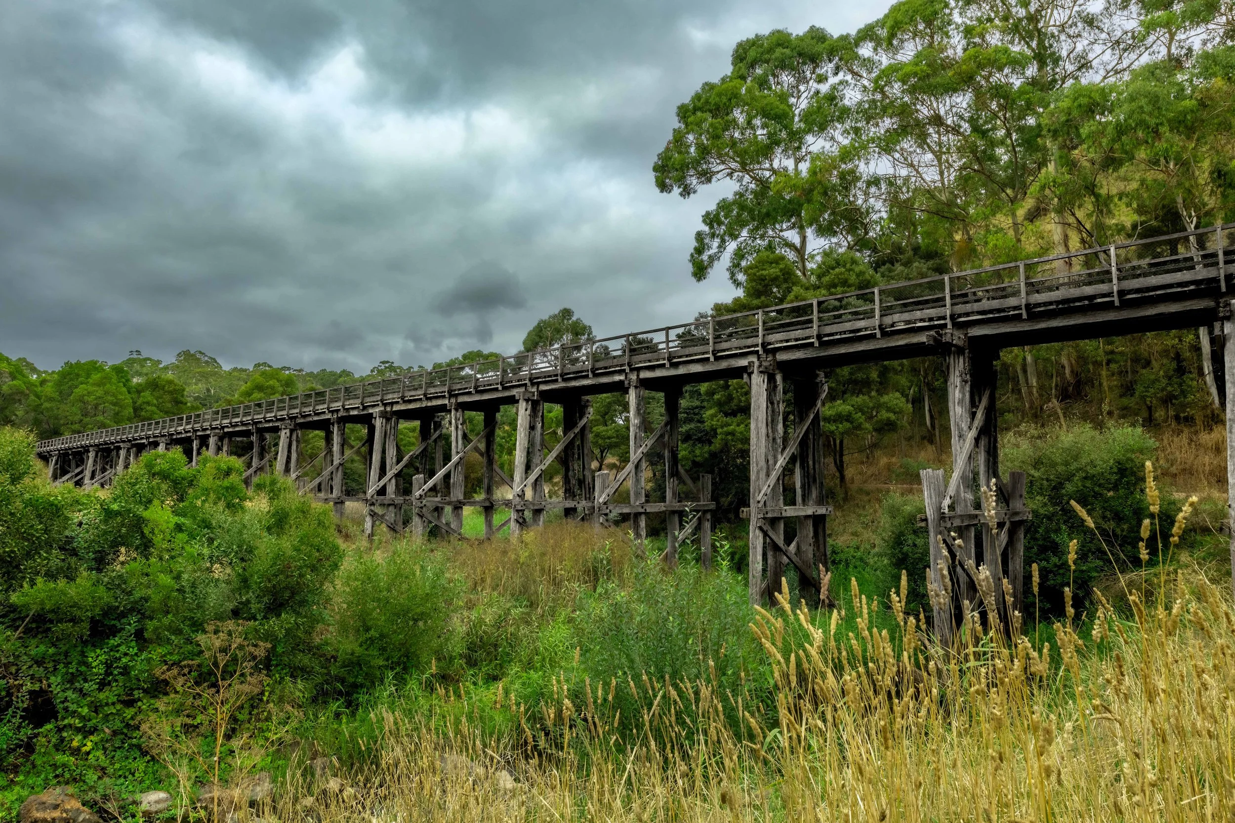 A large wooden trestle bridge looms out amongst greenery.