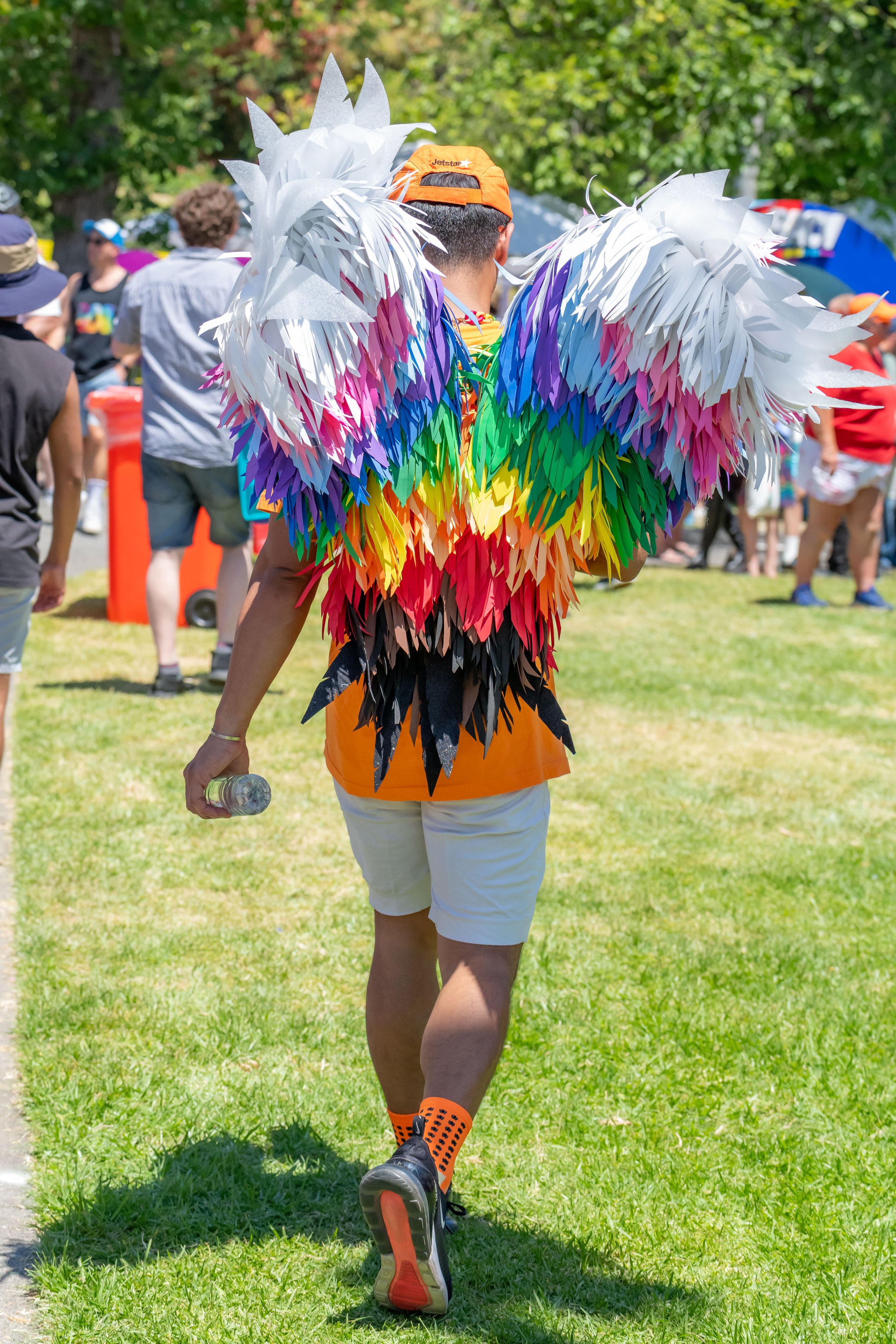 Ahuman walks away from the camera. large progress pride feather wings are on their back.