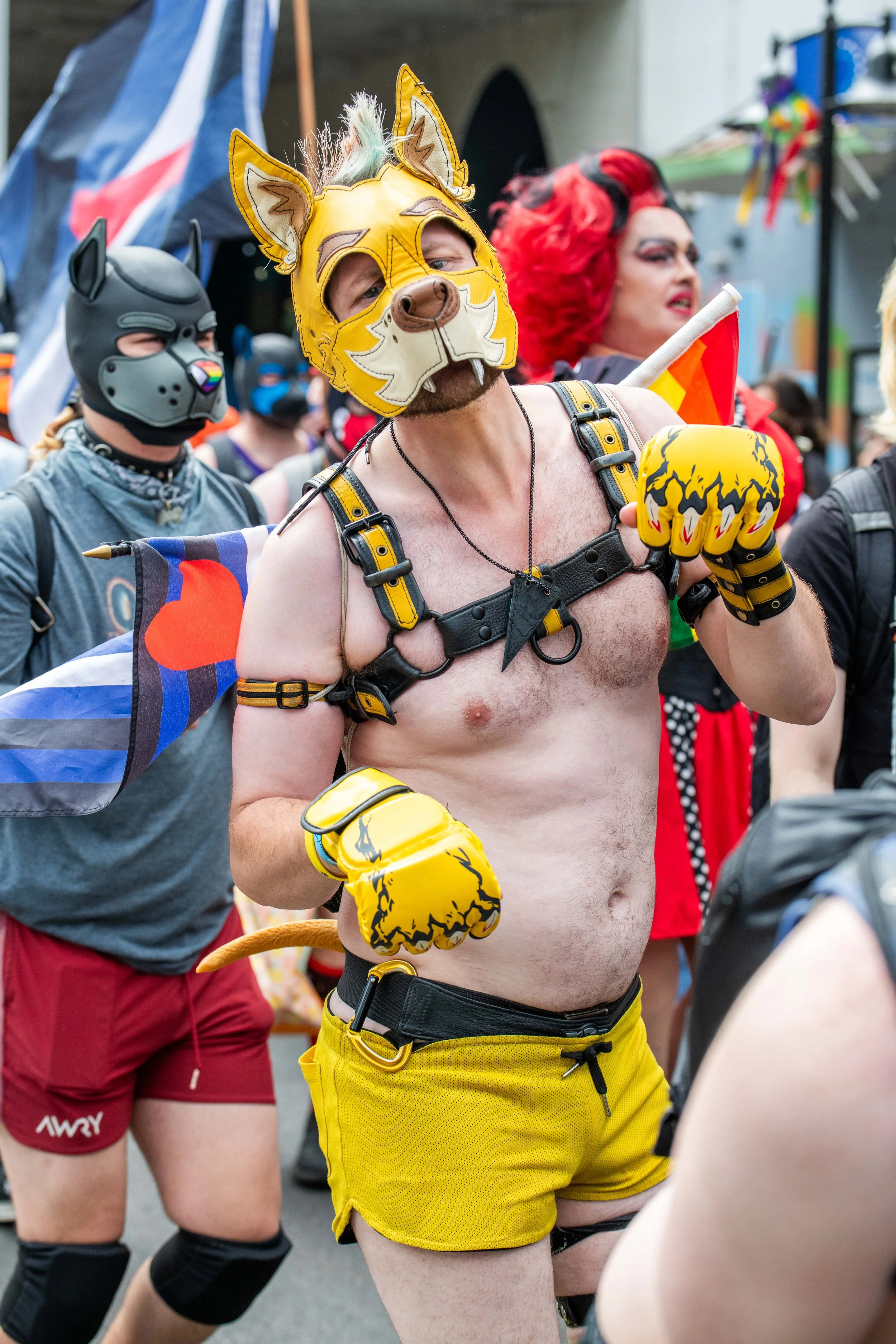 A human puppy poses for the camera.