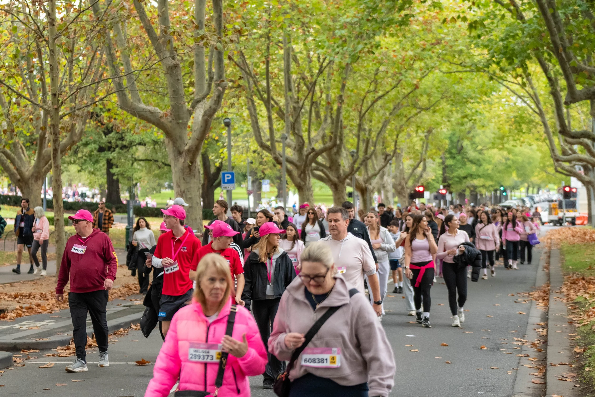 A tree lined street filled with racegoers wearing pink.
