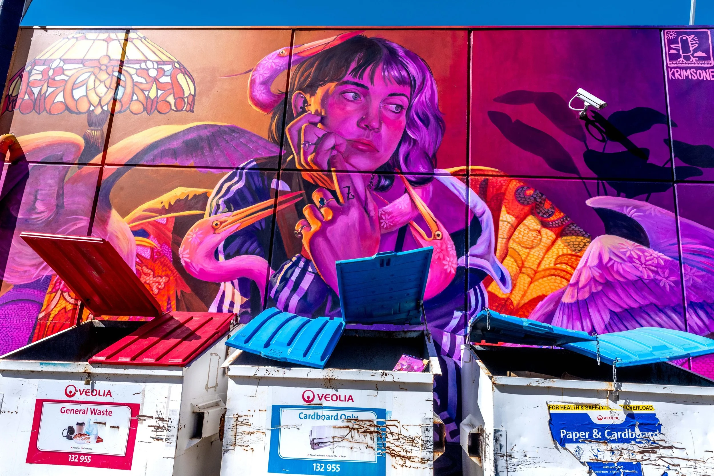 Street art on a wall with industrial bins in front.