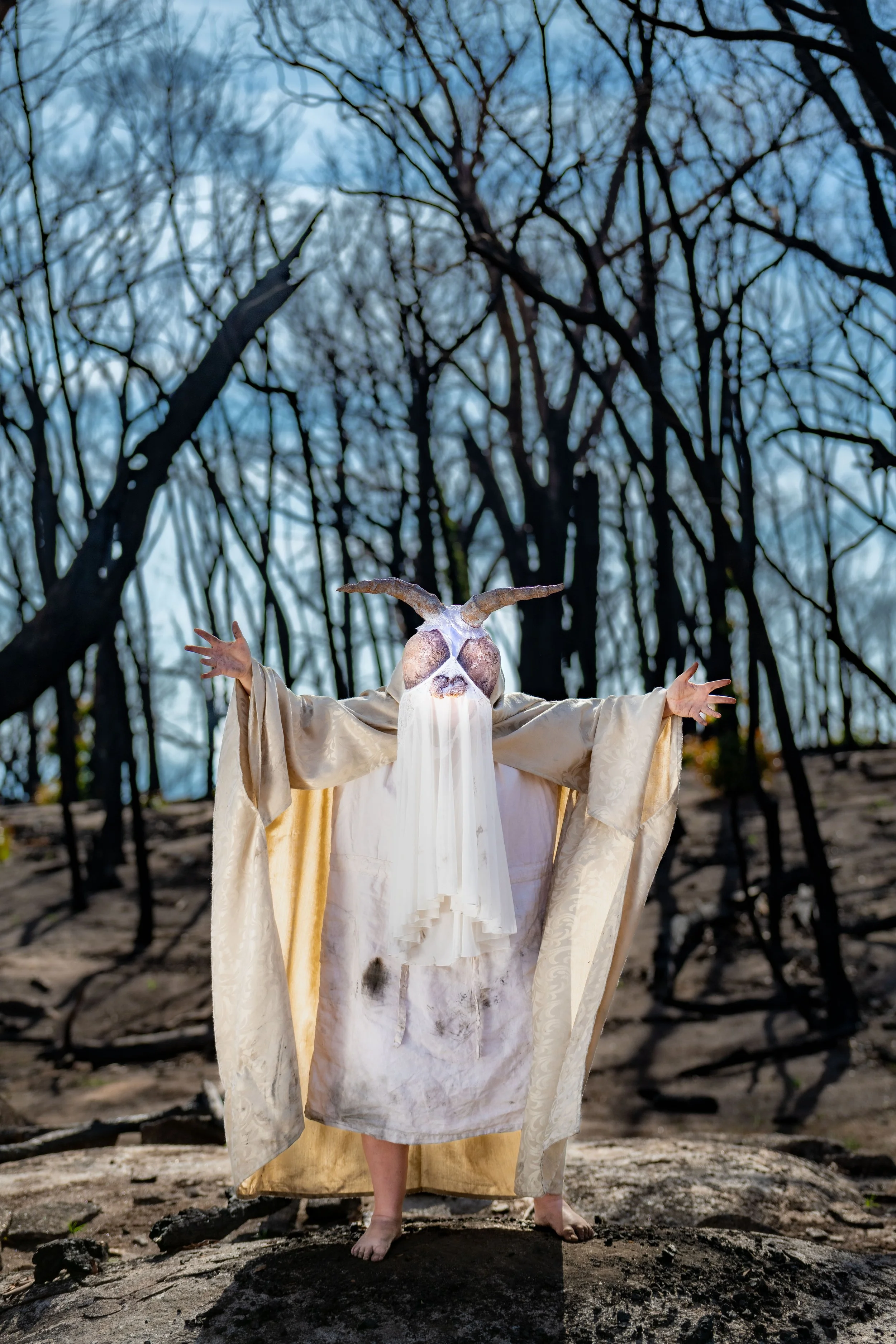 A human in cream coloured robes and mask looking like a moth with their arms outstretched. They are surrounded by burnt dead trees.