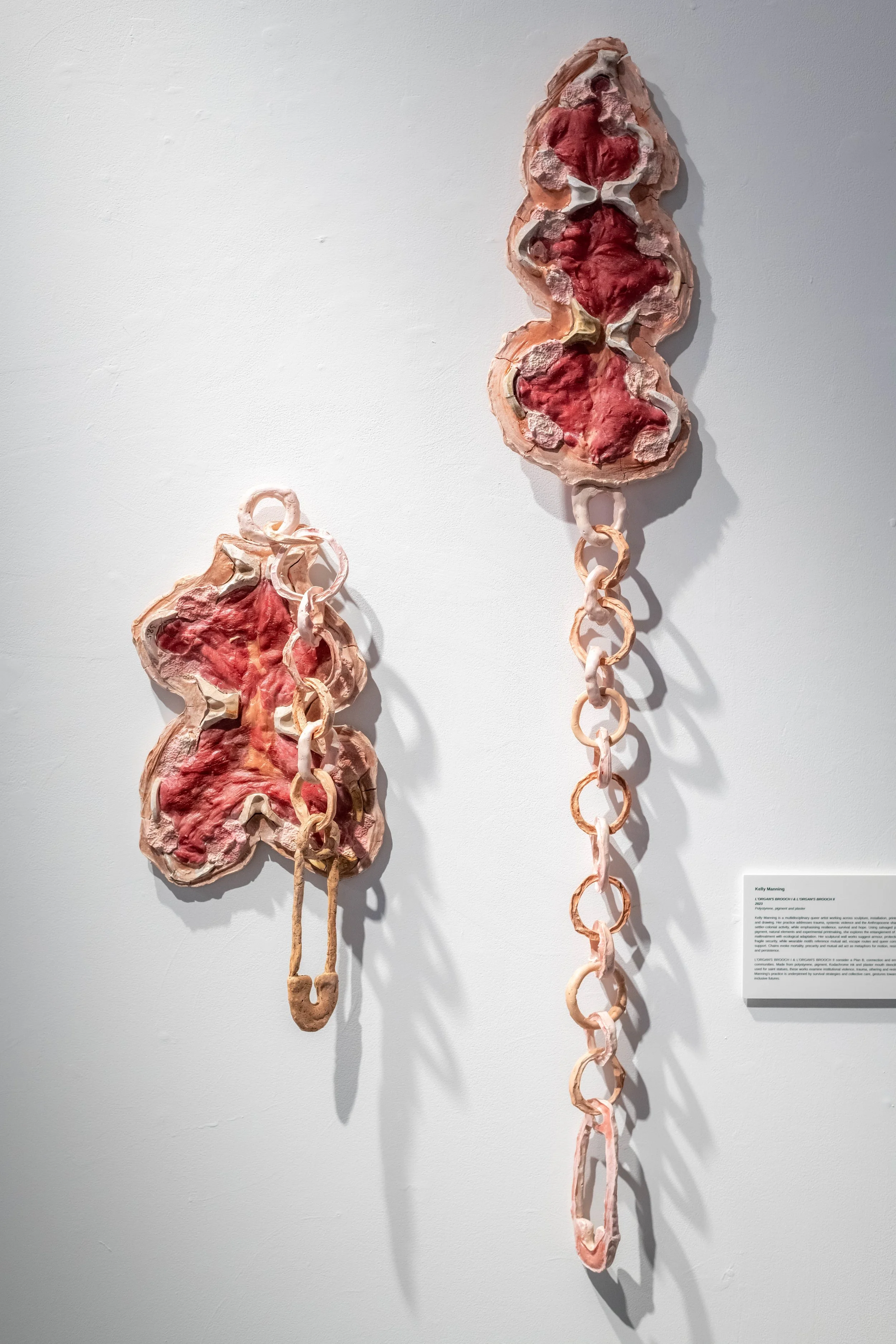 Meat sculpture artwork.