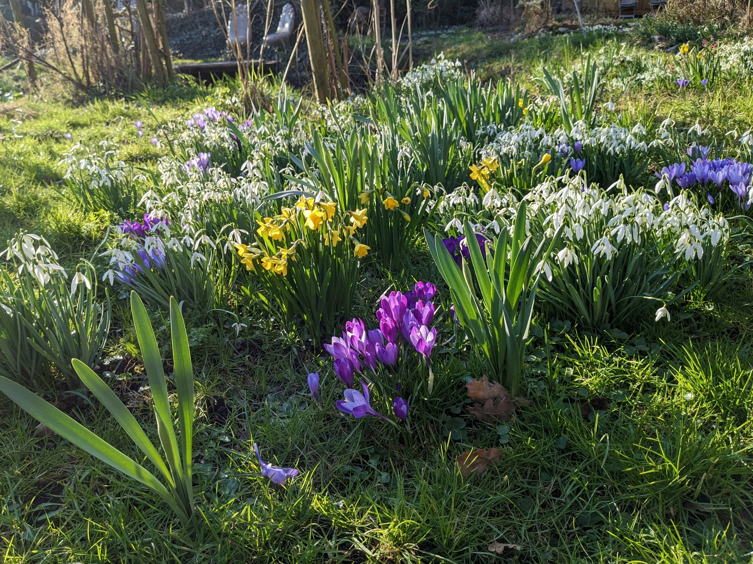 PLANTJESMARKT EN OPEN TUIN BIJ DE PUNT ARKEL