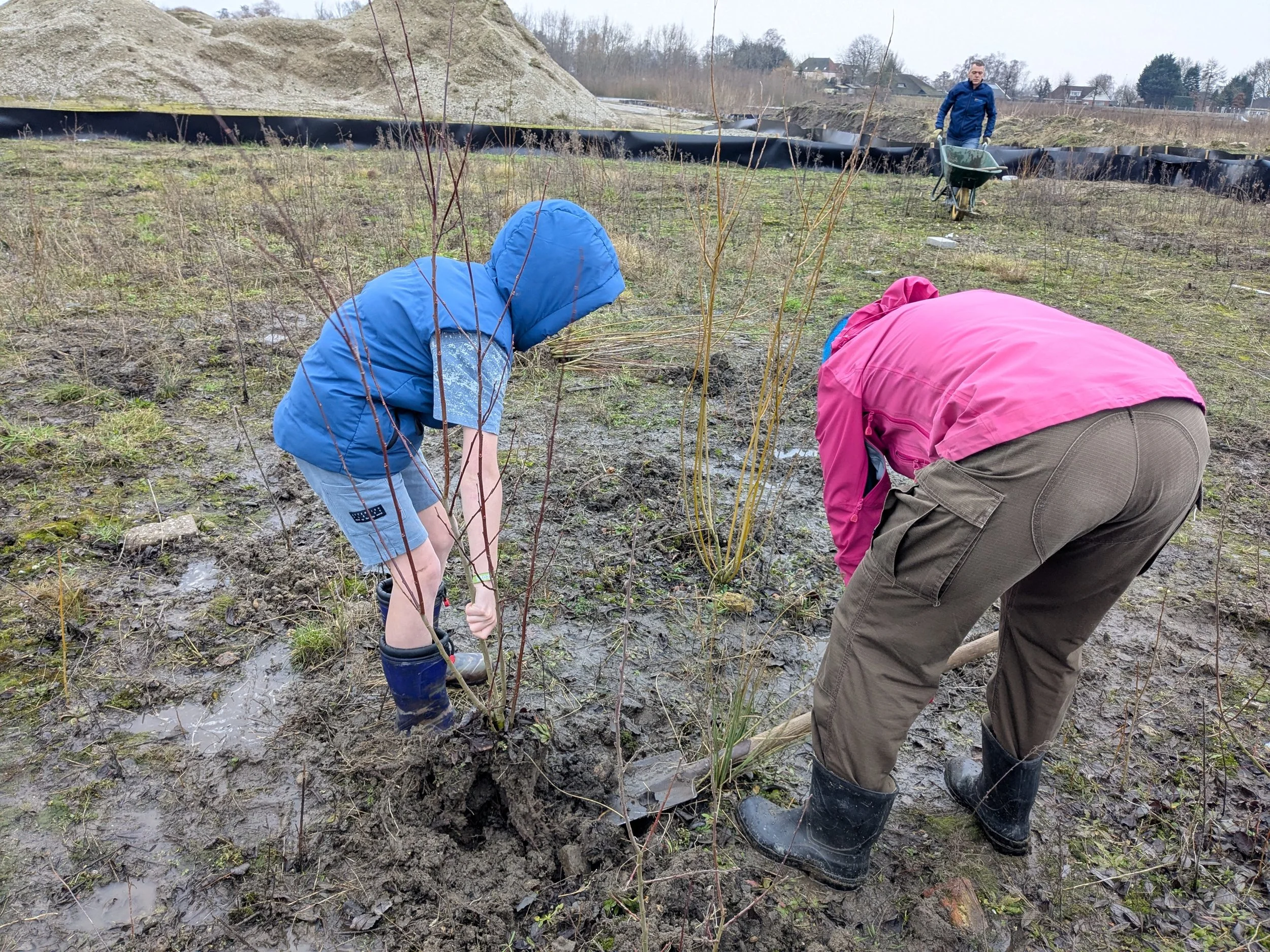BOOMPJES REDDEN BIJ DE OVERTUIN Vrijdag 20 februari