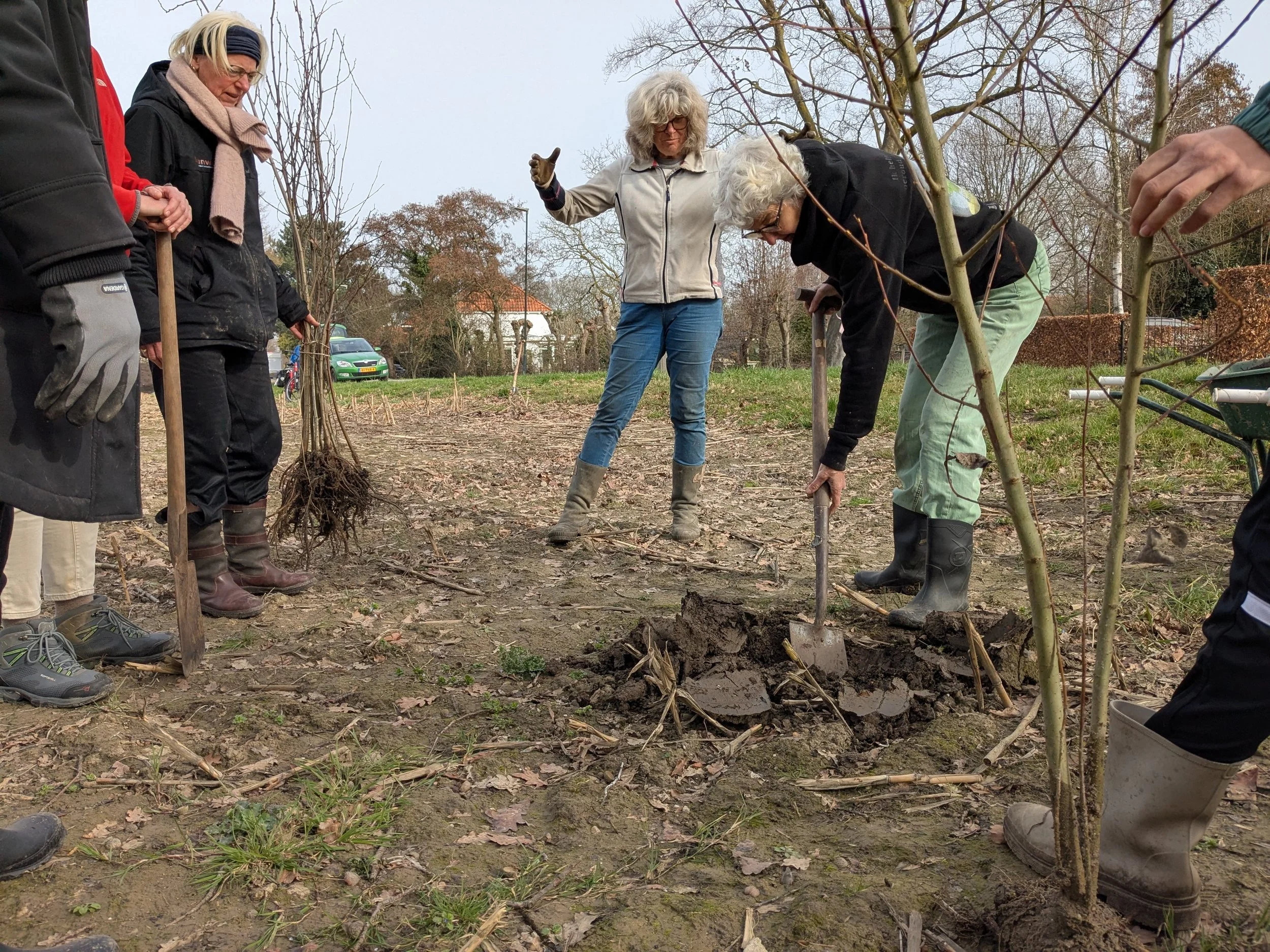 HERENBOEREN GORINCHEM PLANT GEREDDE BOOMPJES OP HET NIEUWE LAND