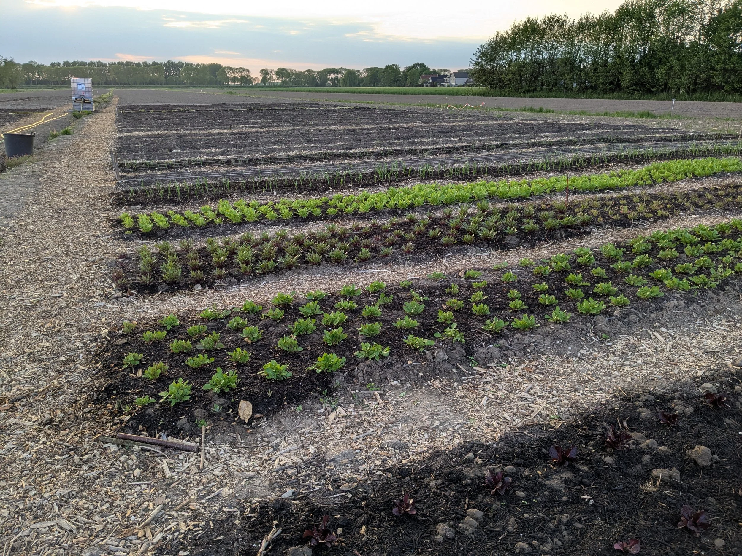 HERENBOEREN GORINCHEM VOL OP STOOM