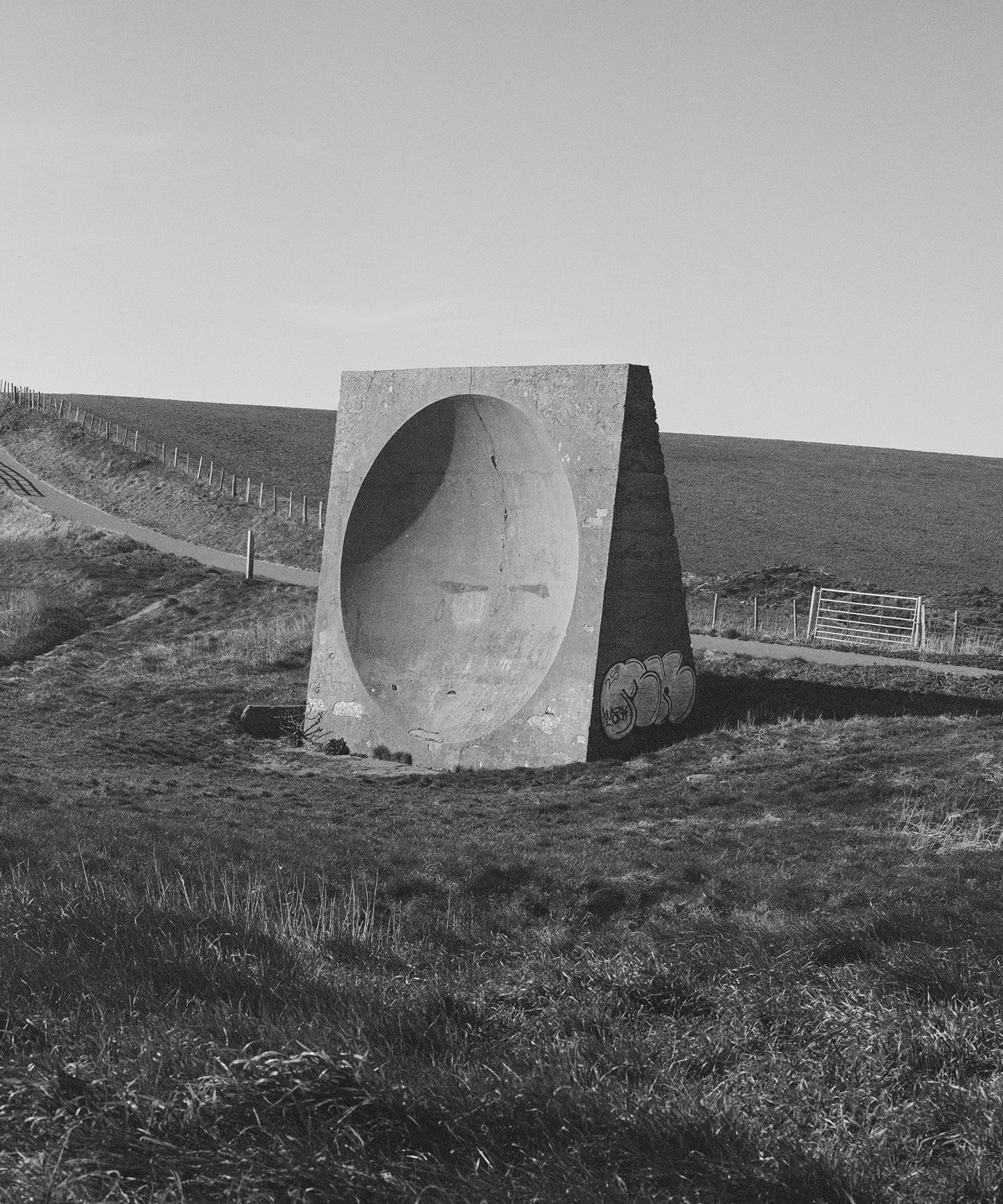 Fiona Smallshaw Enduring 1.jpg