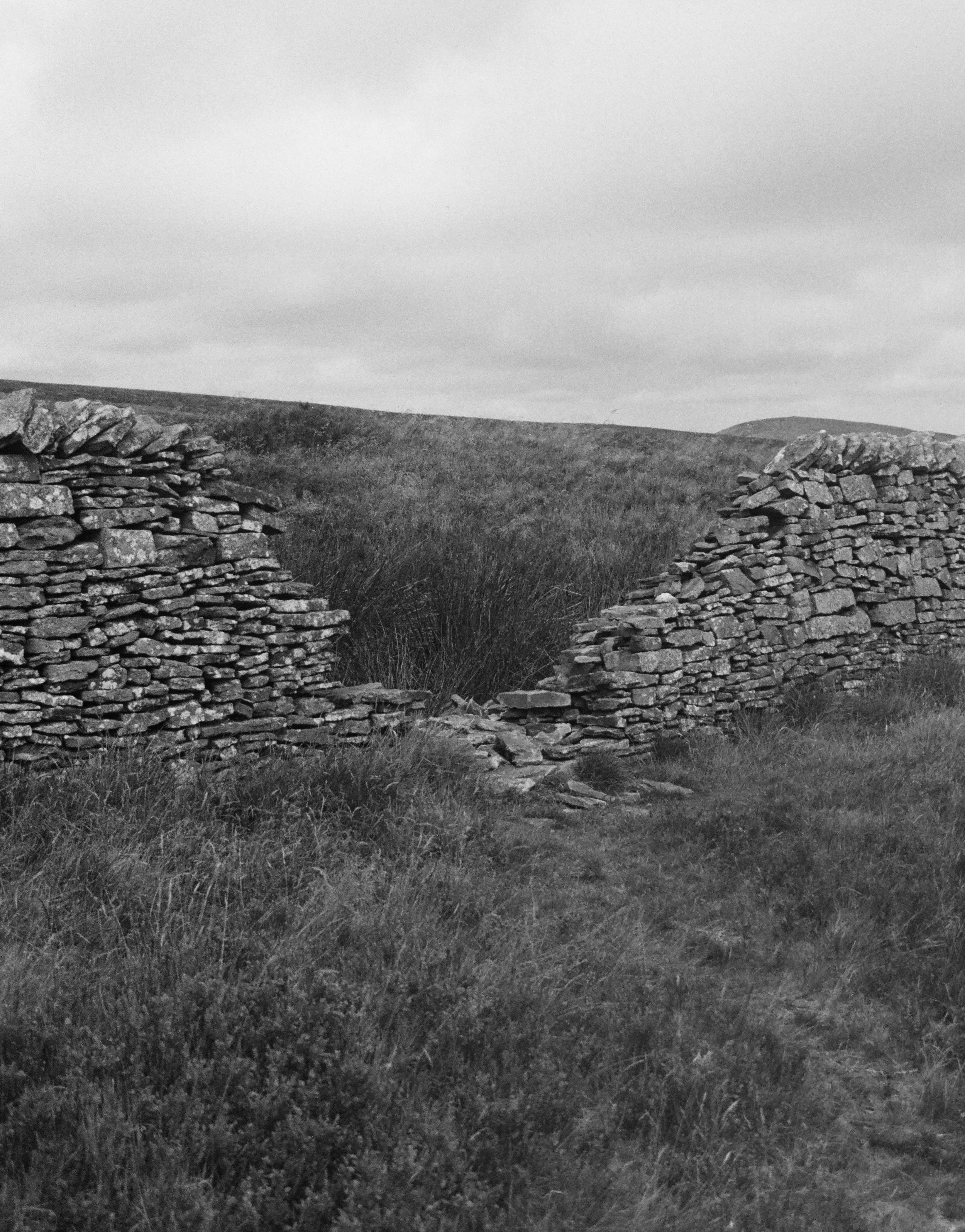 Fiona Smallshaw Enduring 3.jpg