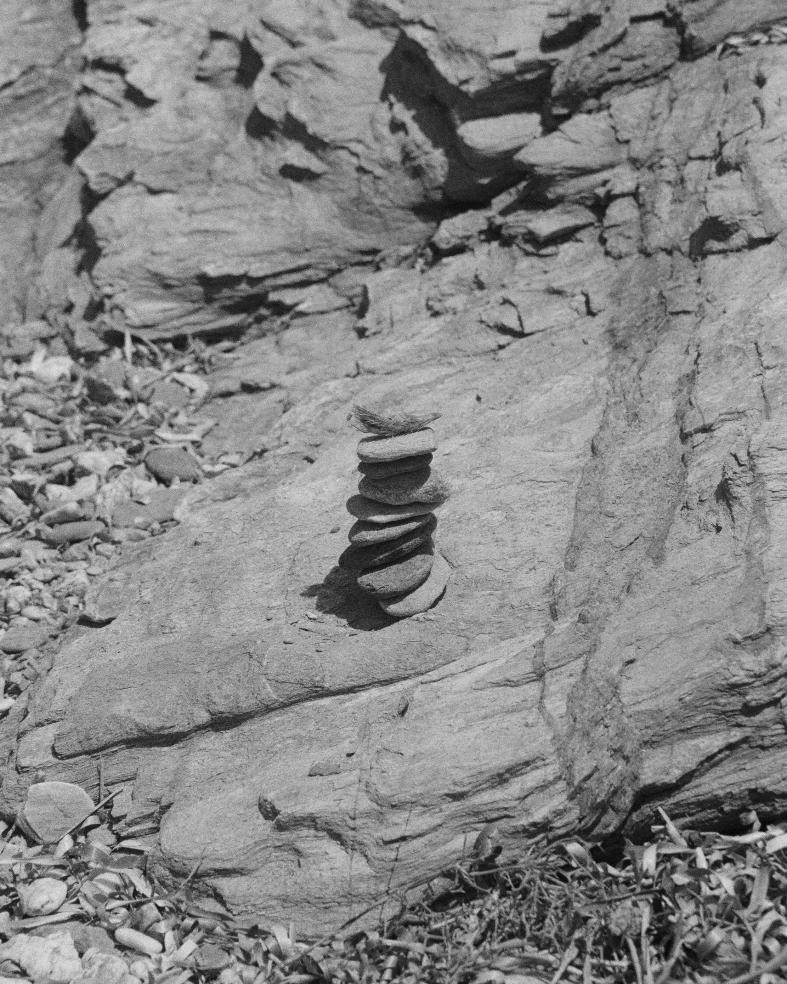 Fiona Smallshaw Enduring 10.jpg