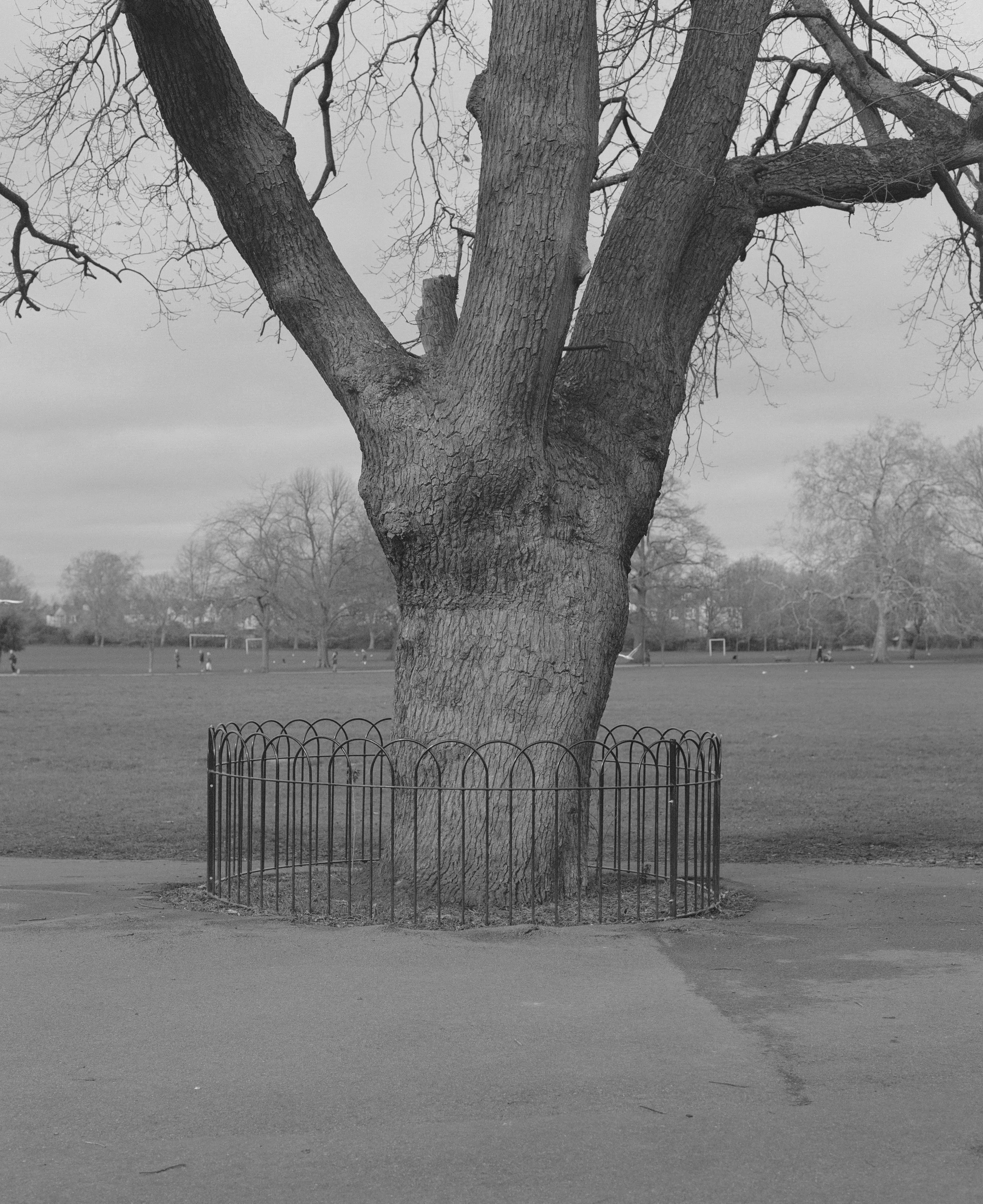 Fiona Smallshaw Enduring 4.jpg