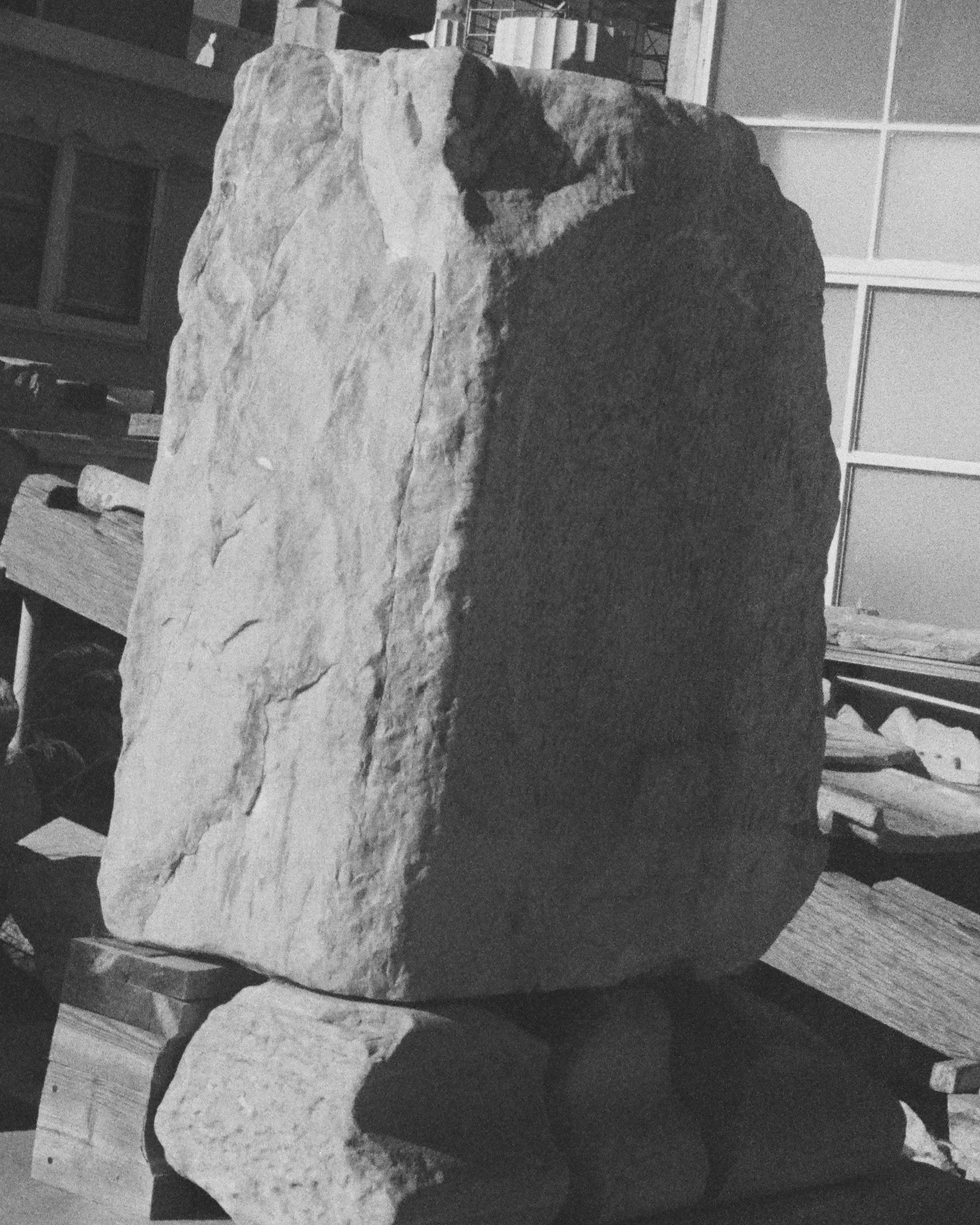 Fiona Smallshaw Enduring 2.jpg