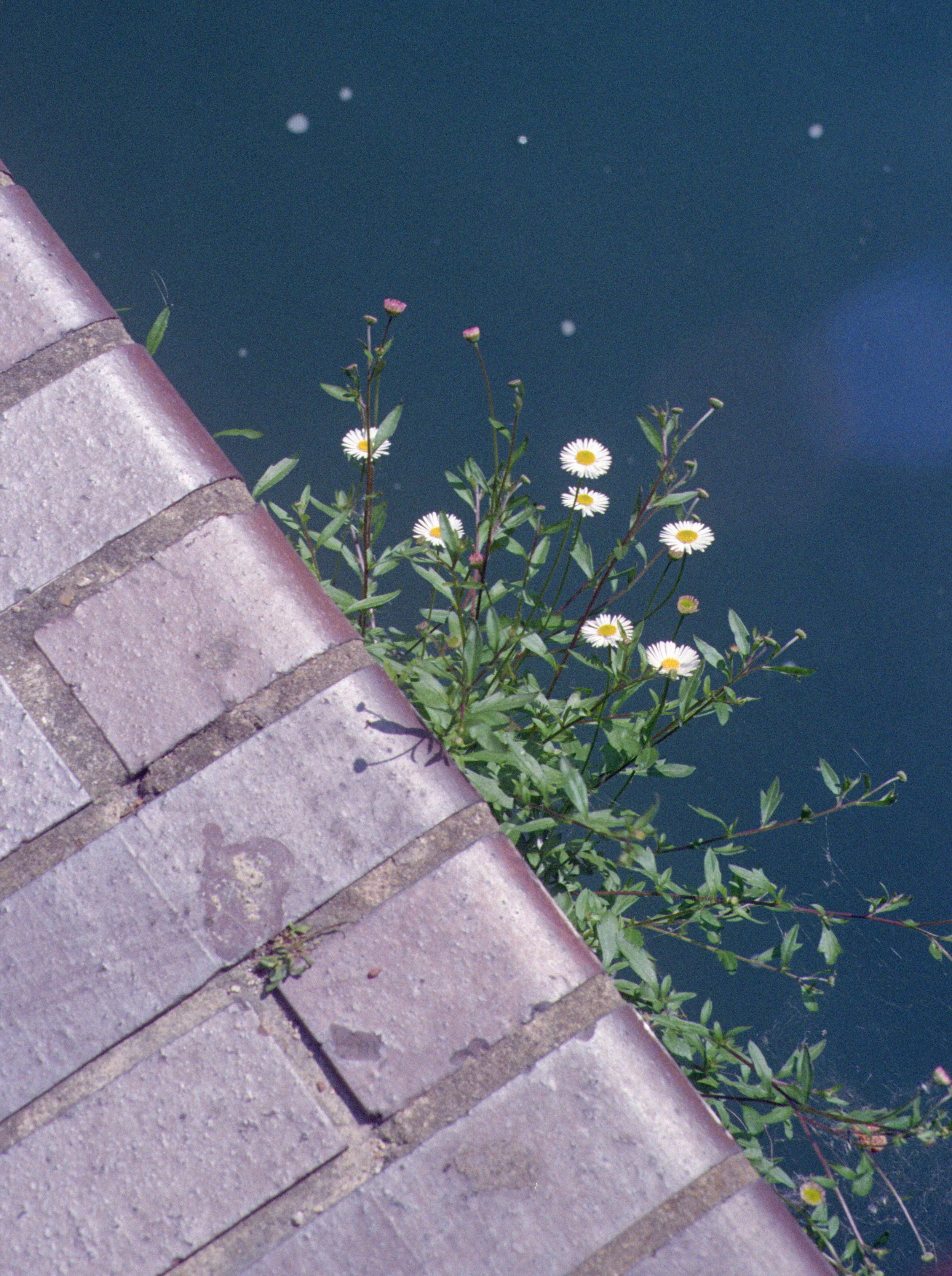 Barbican, London