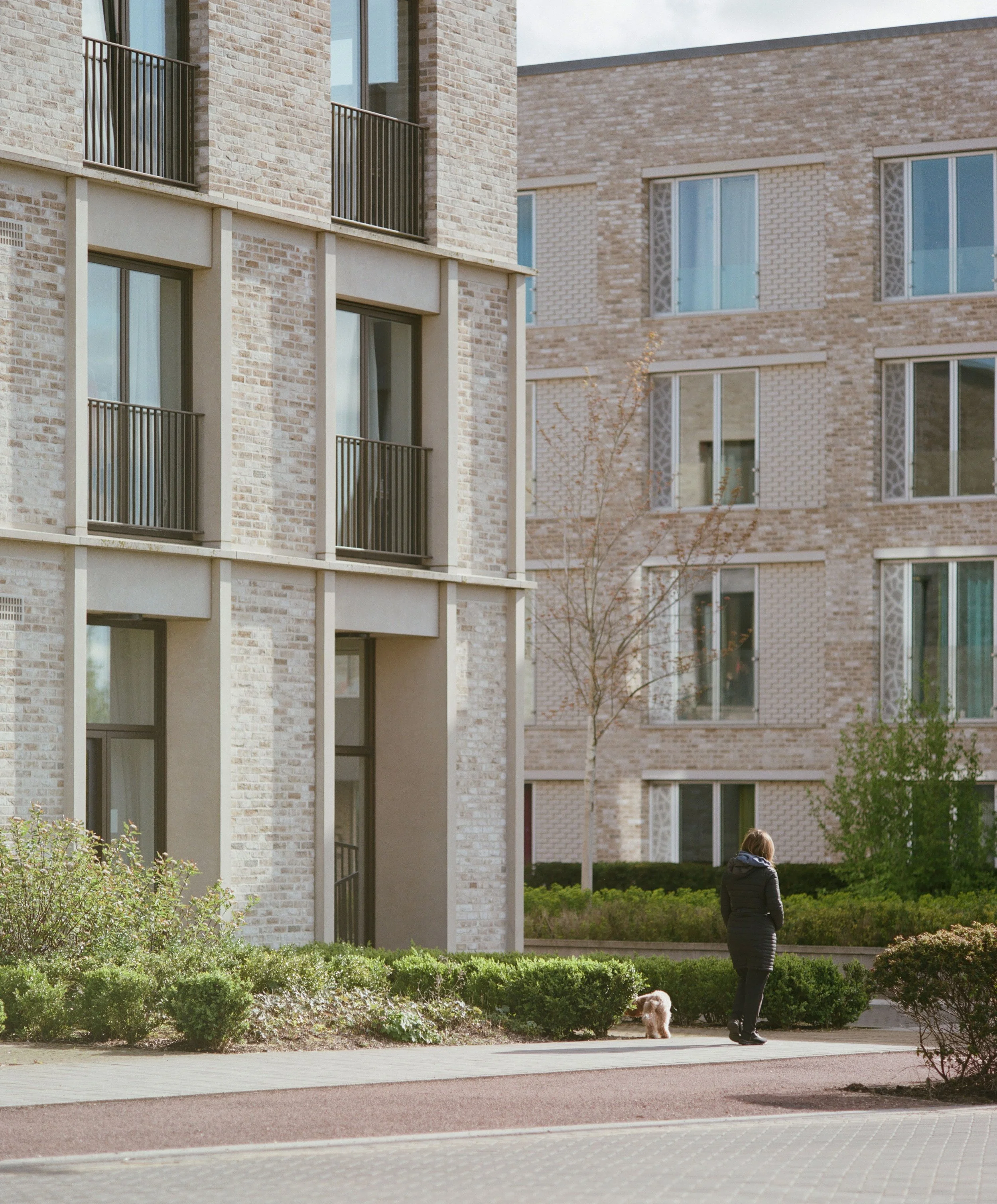 Ryle Yard, Cambridge for Maccreanor Lavington